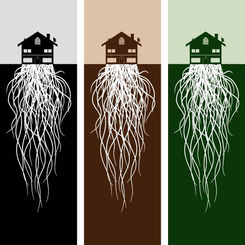 house with roots.jpg