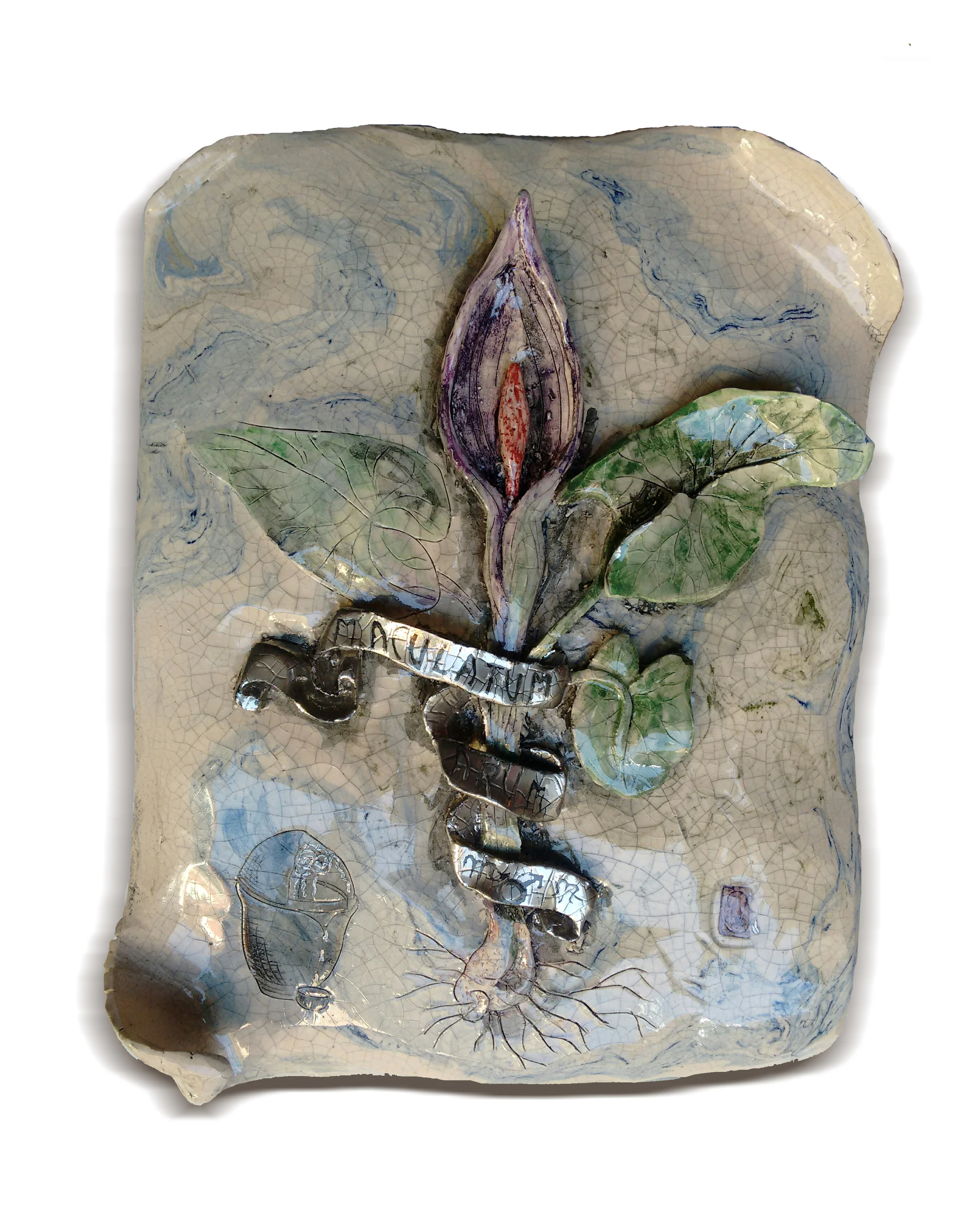 Maculatum Arum ok.JPG