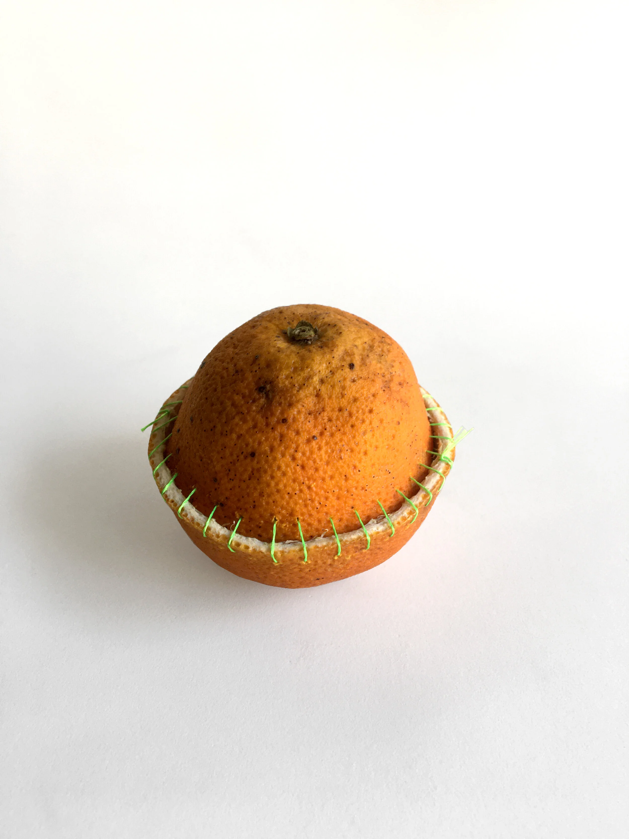 Guillermina Baiguera_fruta instalada.JPG