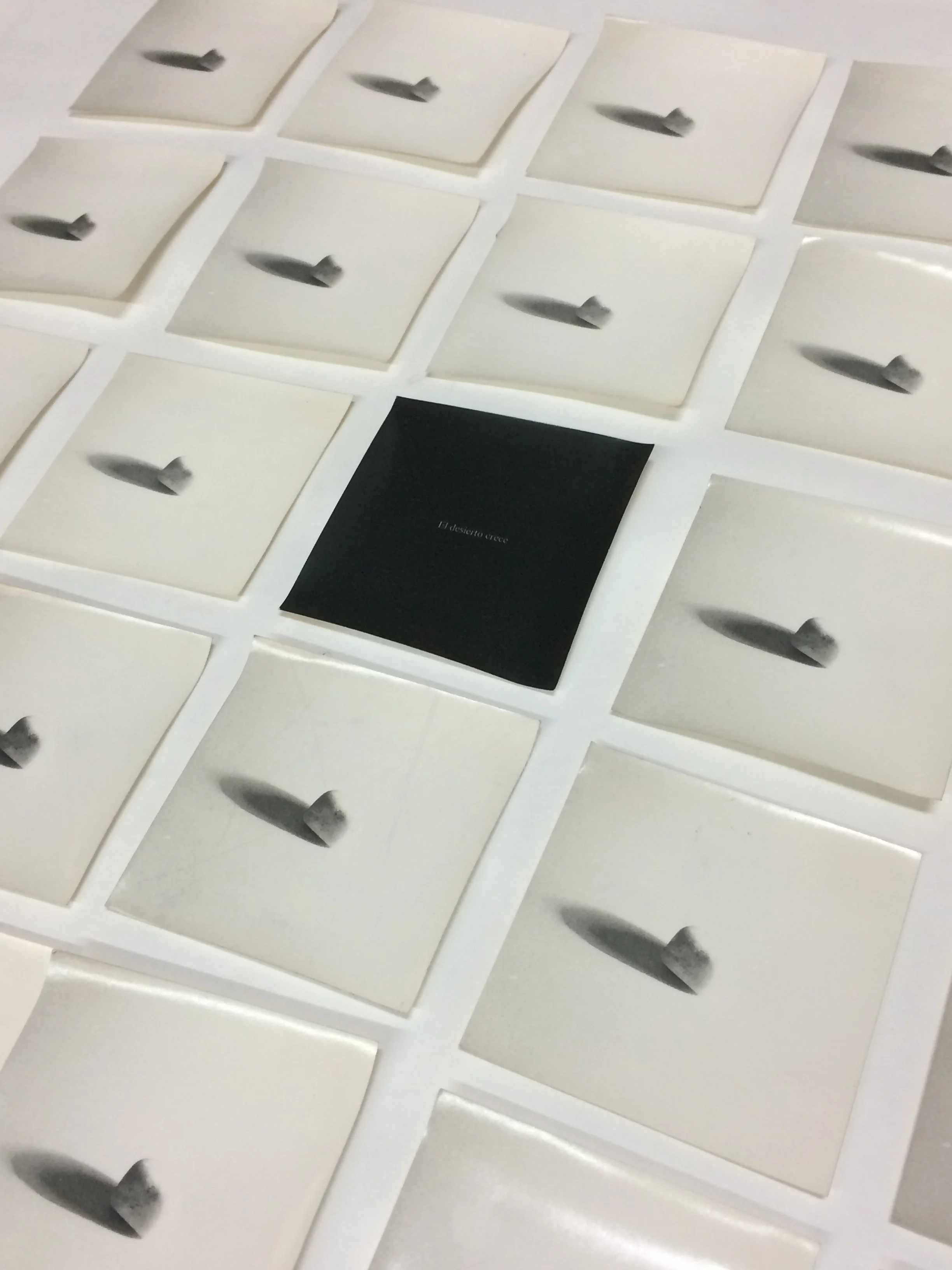 EL DESIERTO CRECE detalle.JPG