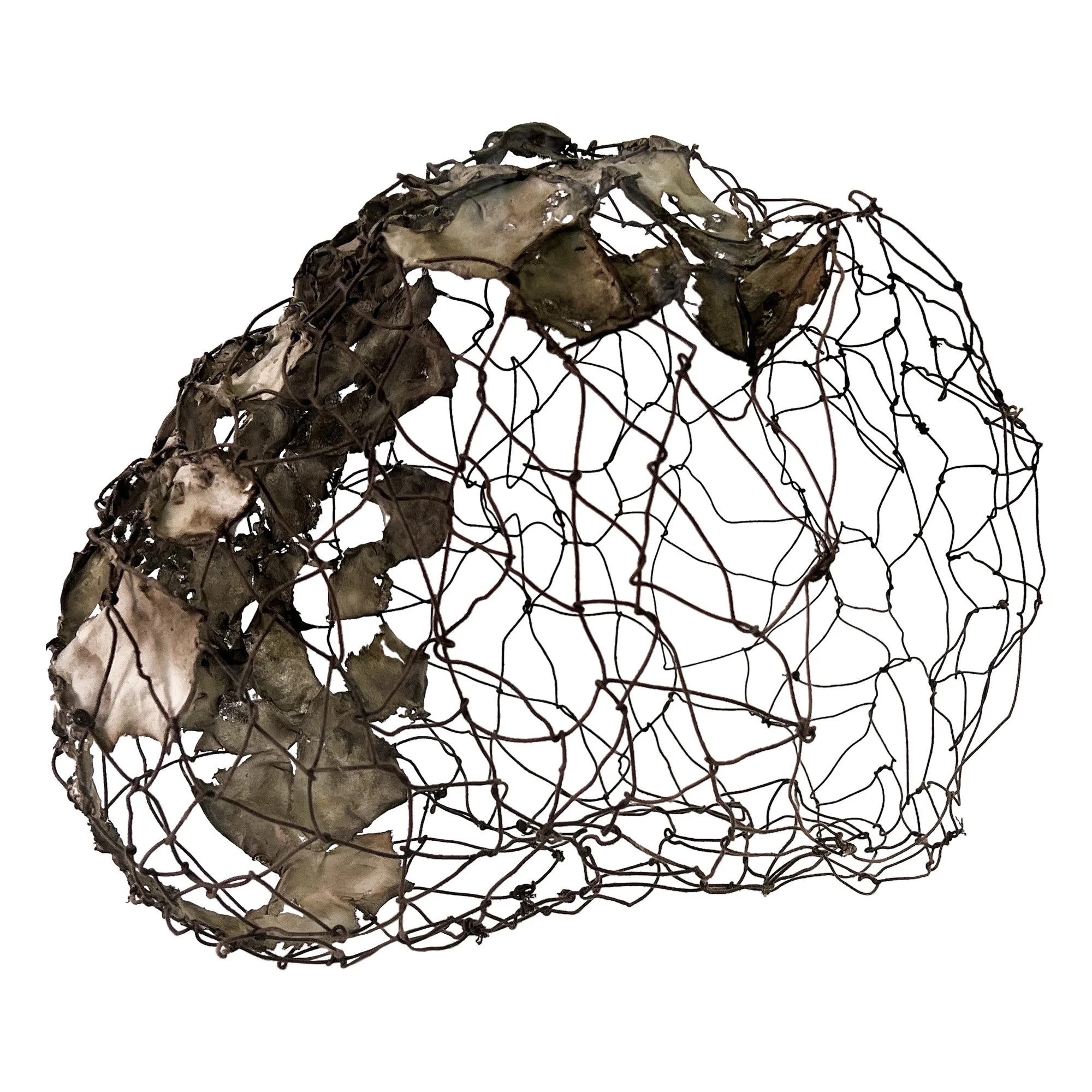 EspiandoPorElMundo (1).JPG