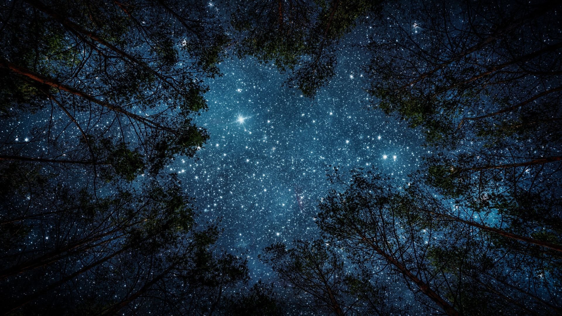 Advent 2025 Background.jpg