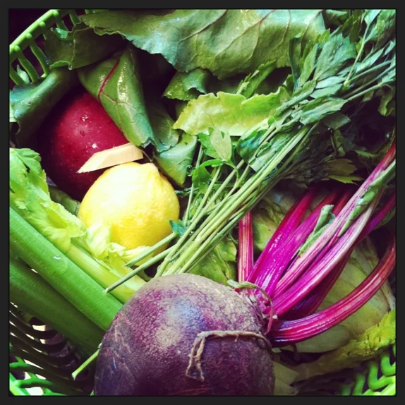 Jen's Basic Smoothie