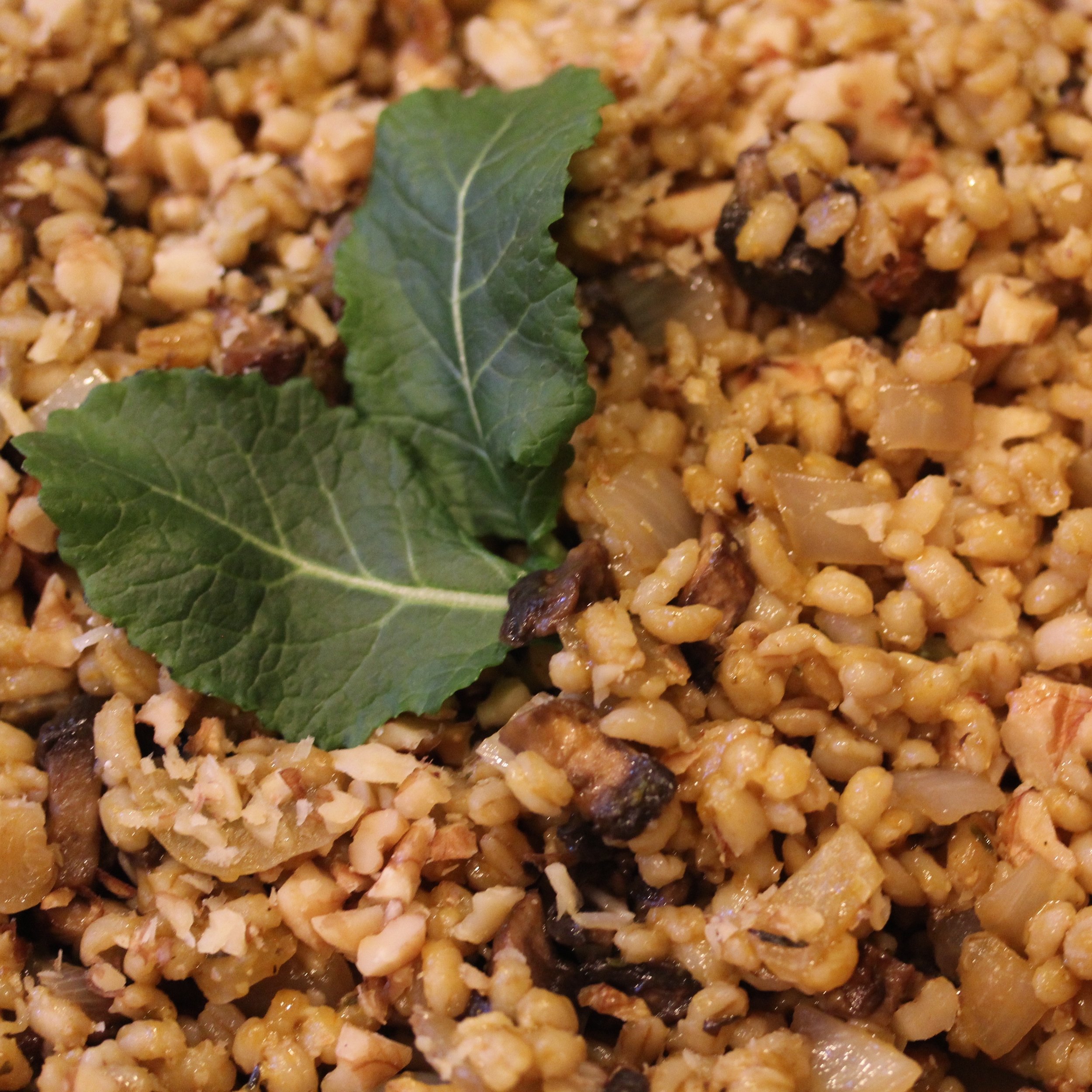 Mushroom Onion Barley Risotto