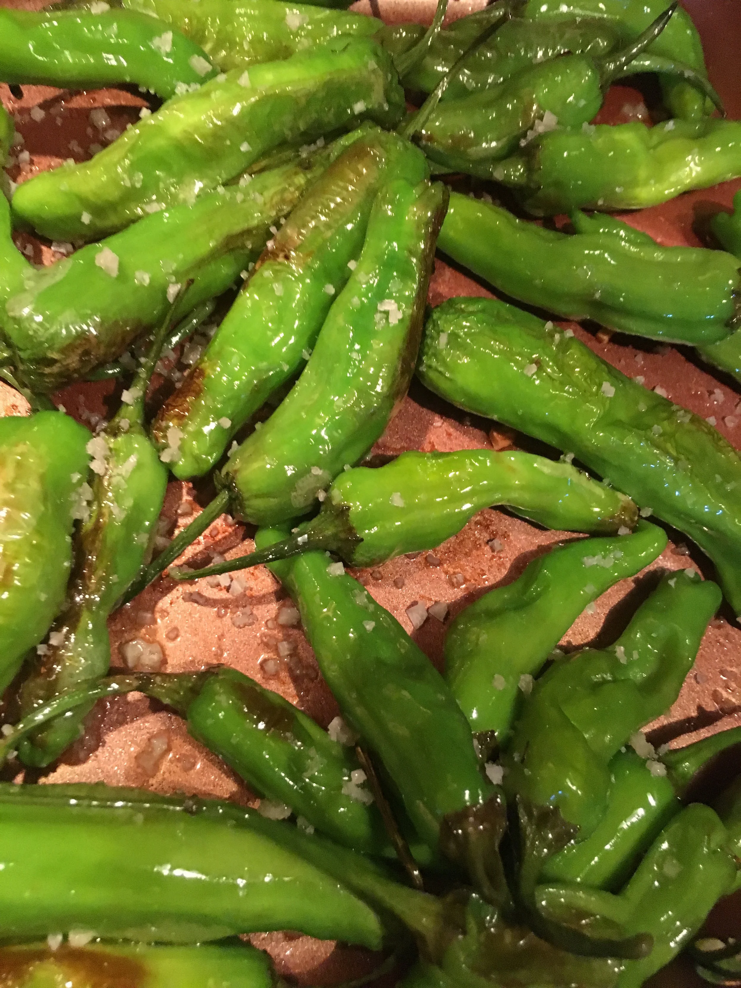 Blistered Shishito Peppers