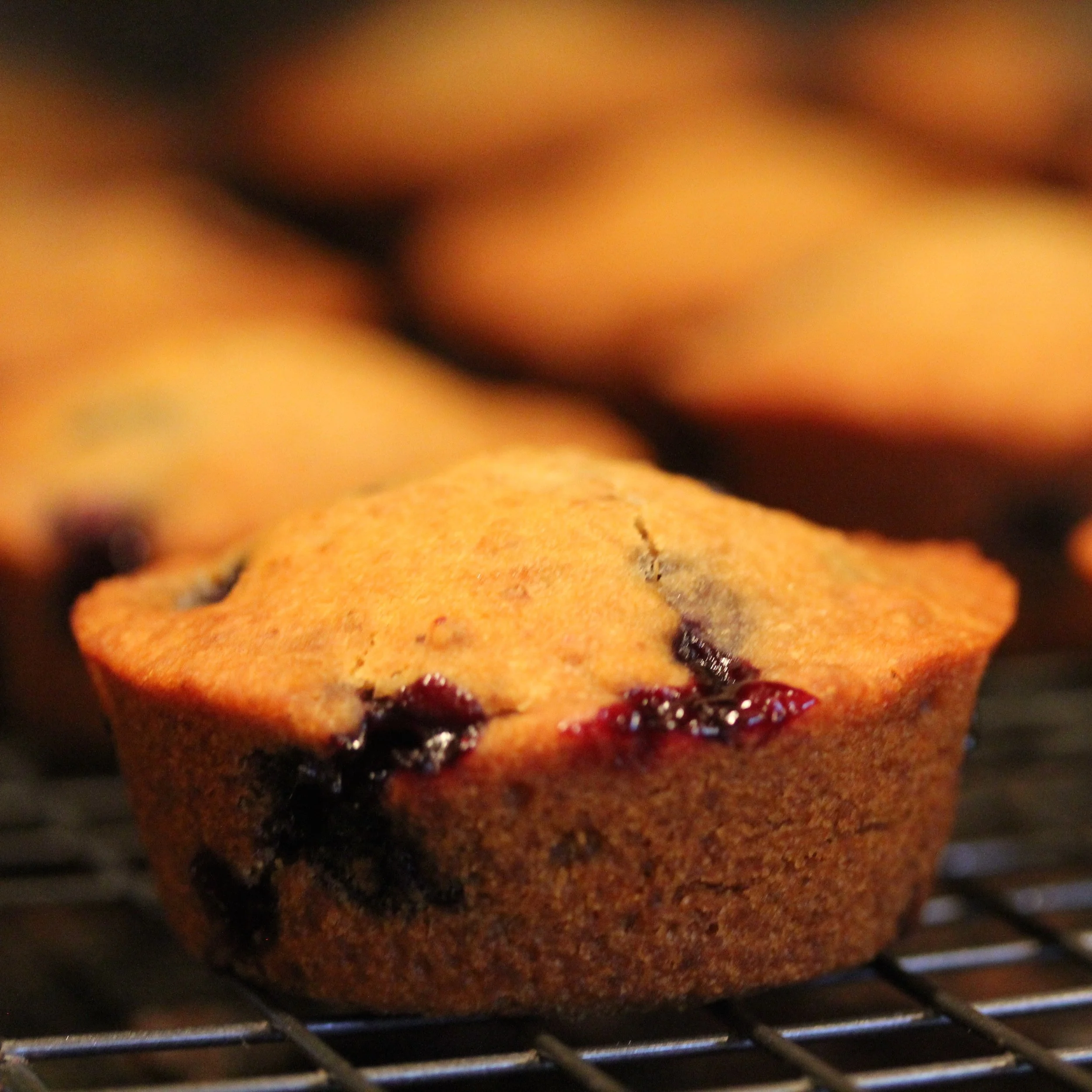Vegan Blueberry Muffins