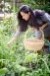 Raw Food 101