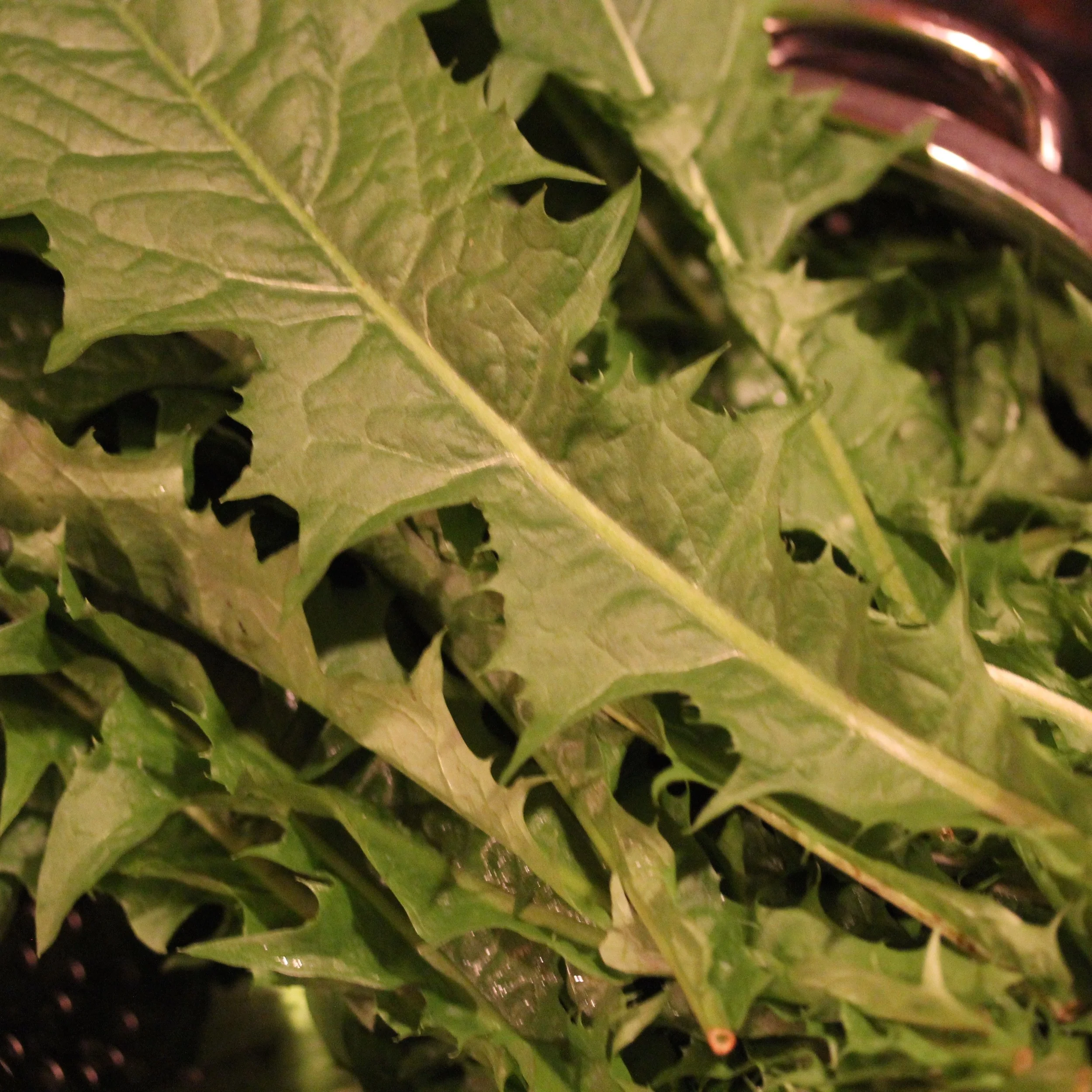 Liver Cleanse Smoothie