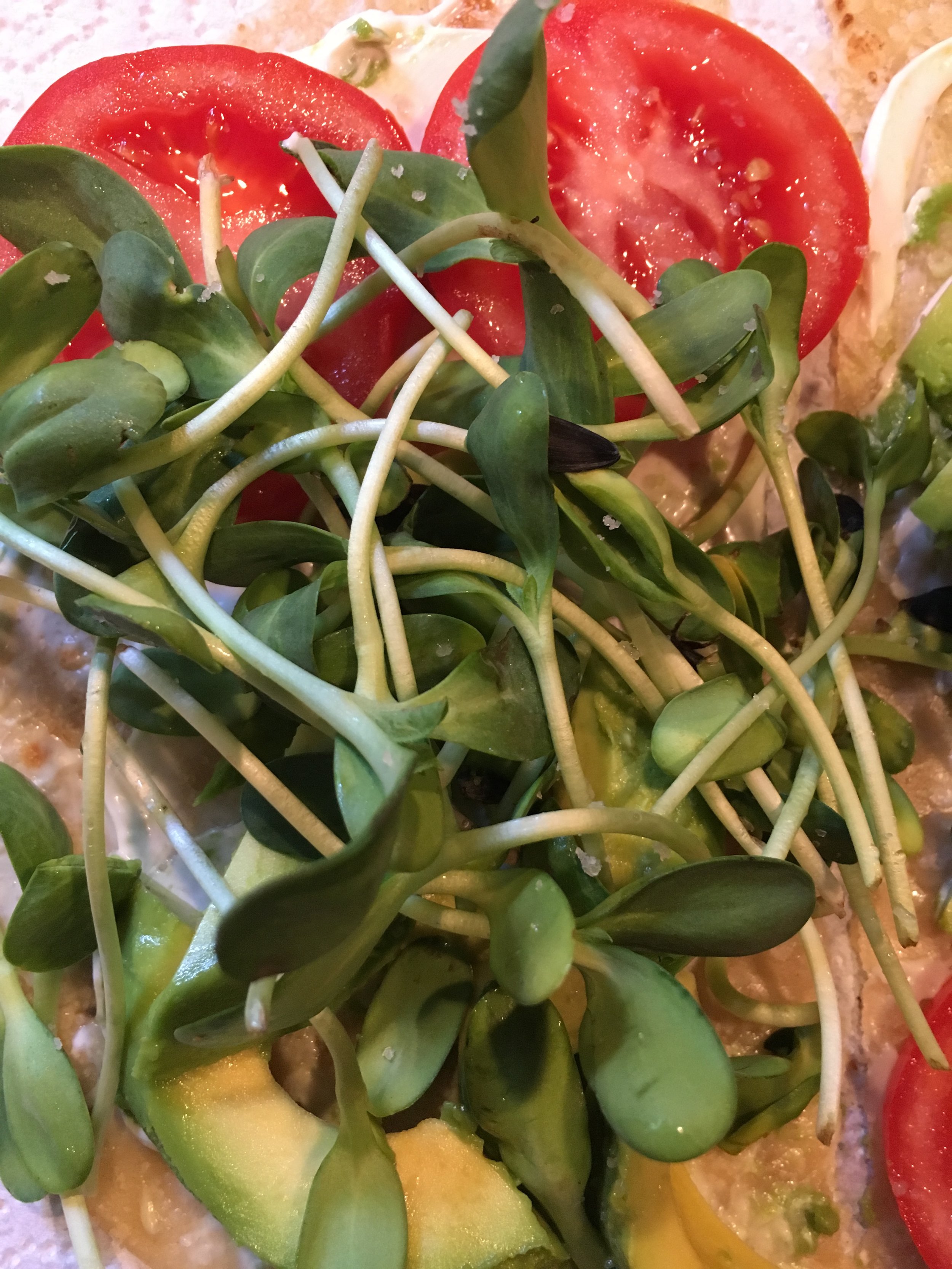 Fabalicious Tomato Avocado Wrap