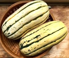 Roasted Delicata Squash Salad with Maple Dressing