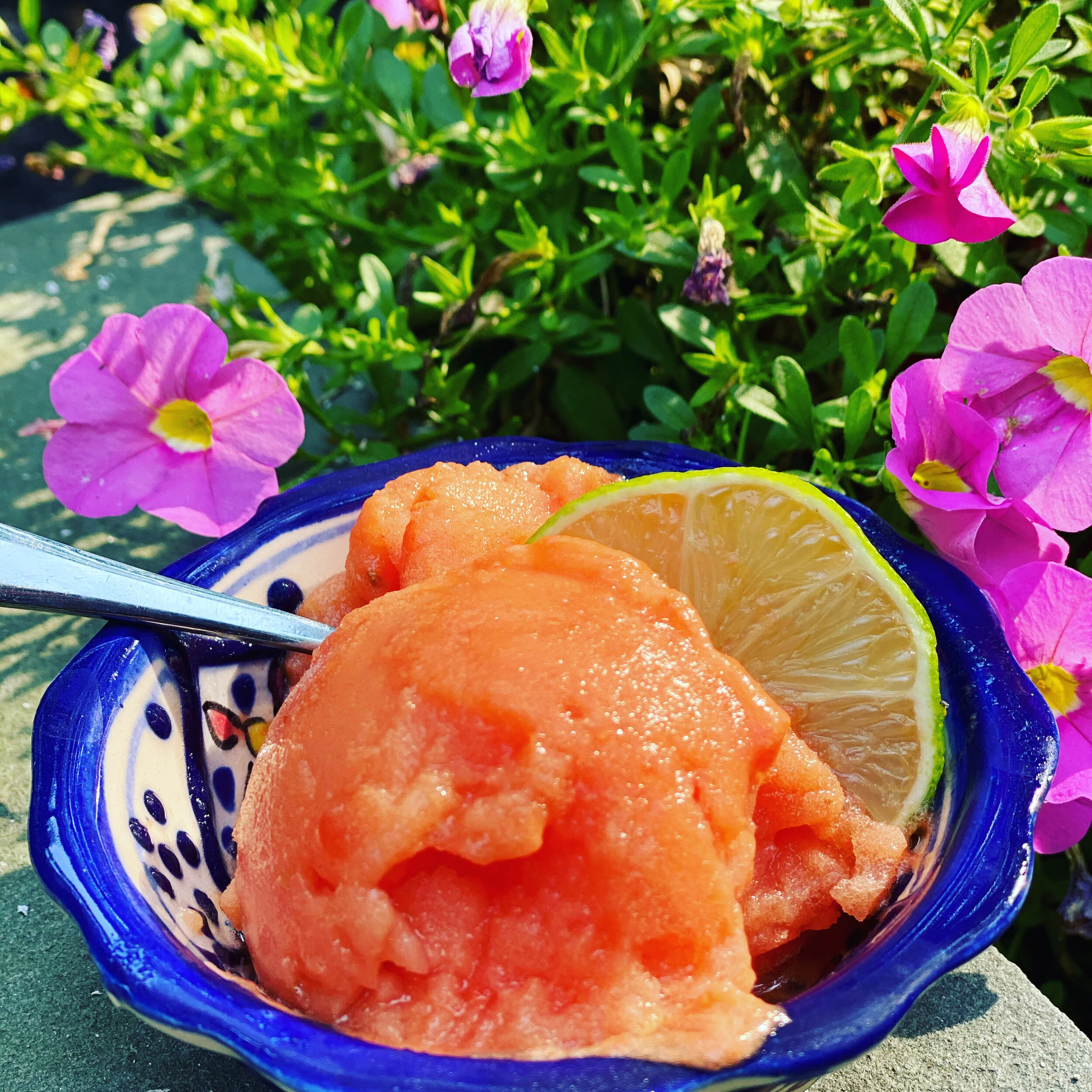 Watermelon Lime Sorbet