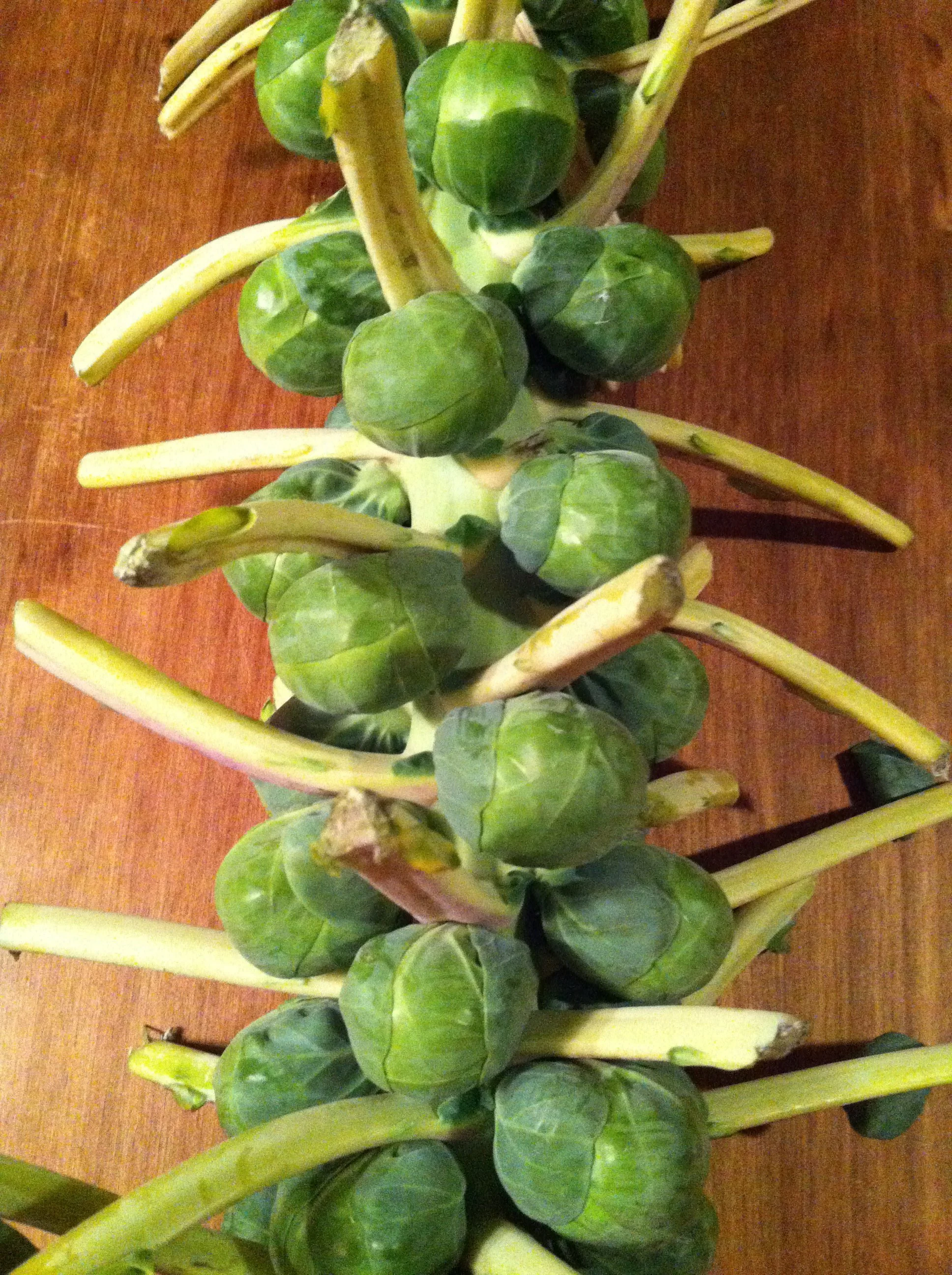 Bok Choy &amp; Brussels Sprouts Salad with Shiitake Bacon Bits