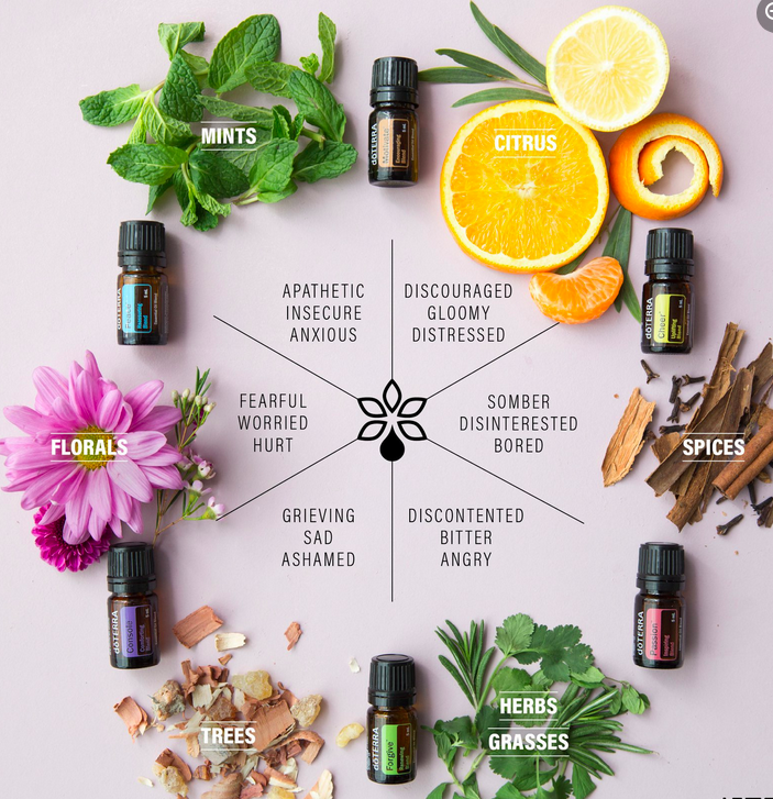 New! August Audio Class:  Essential Oils for Your Medicine Cabinet
