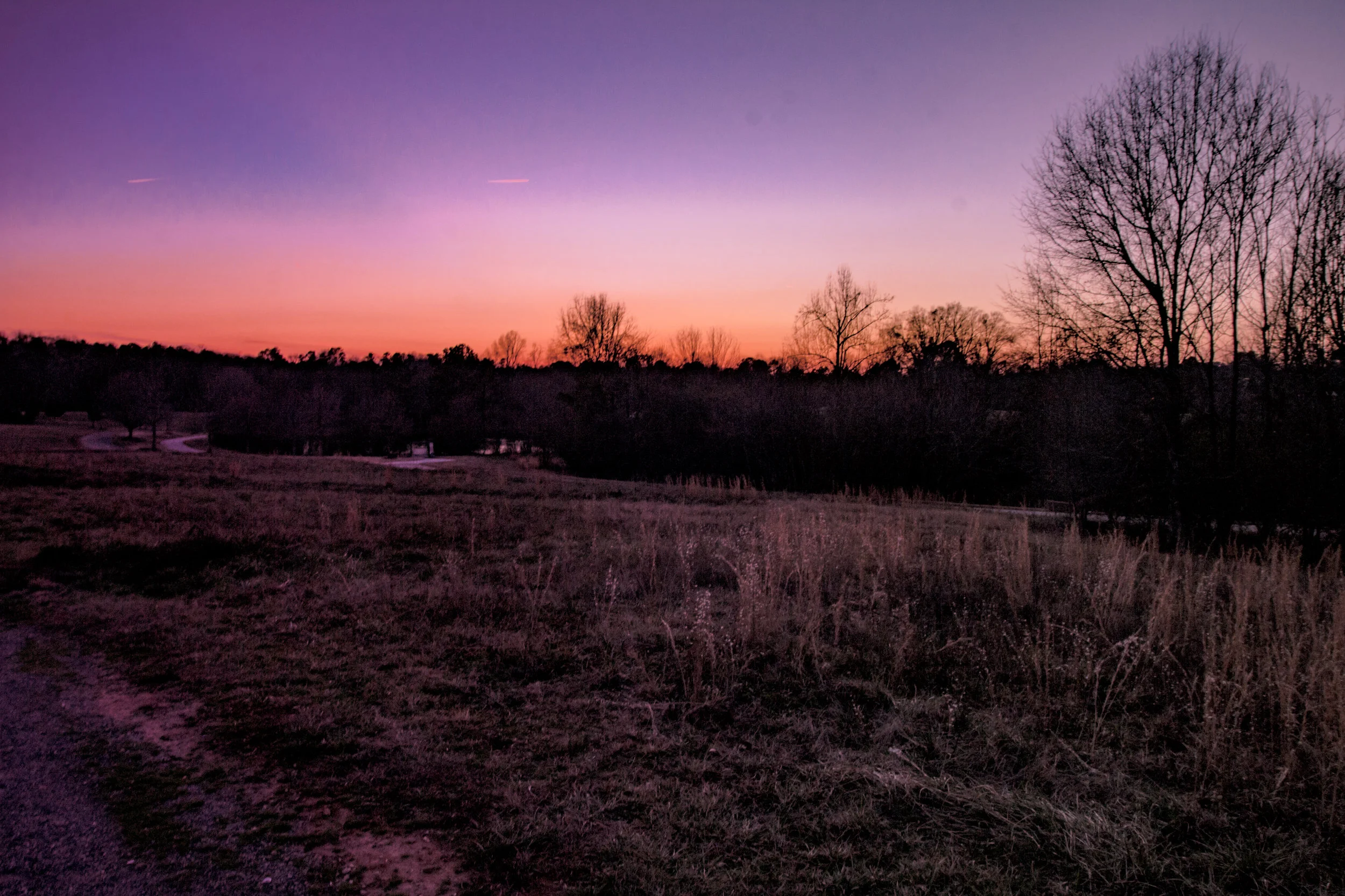 IMG_3251.jpg