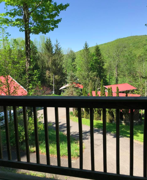 Hillside Cabin (6) | Sleeps 7