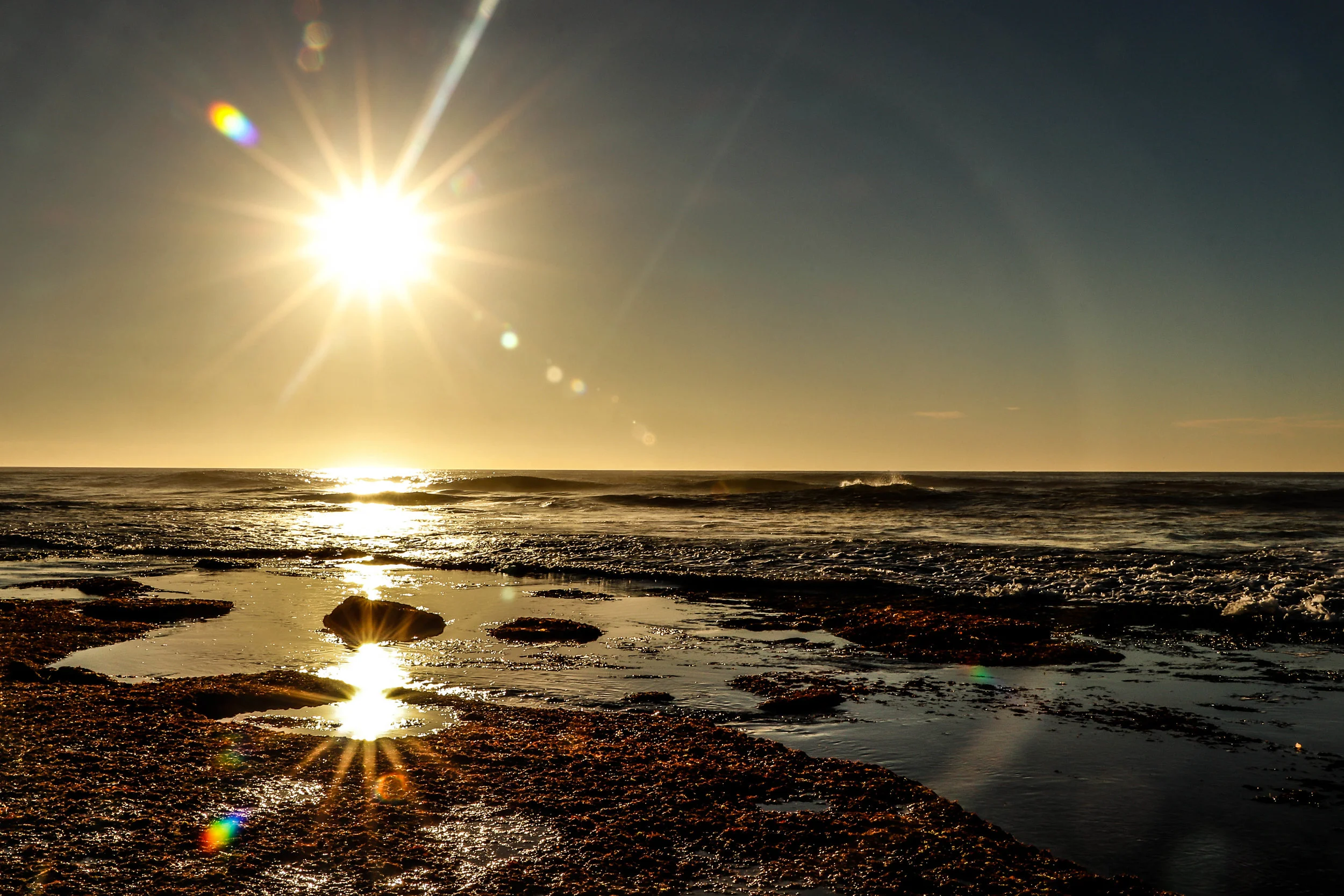 La Jolla Tide Pools - San Diego, CA