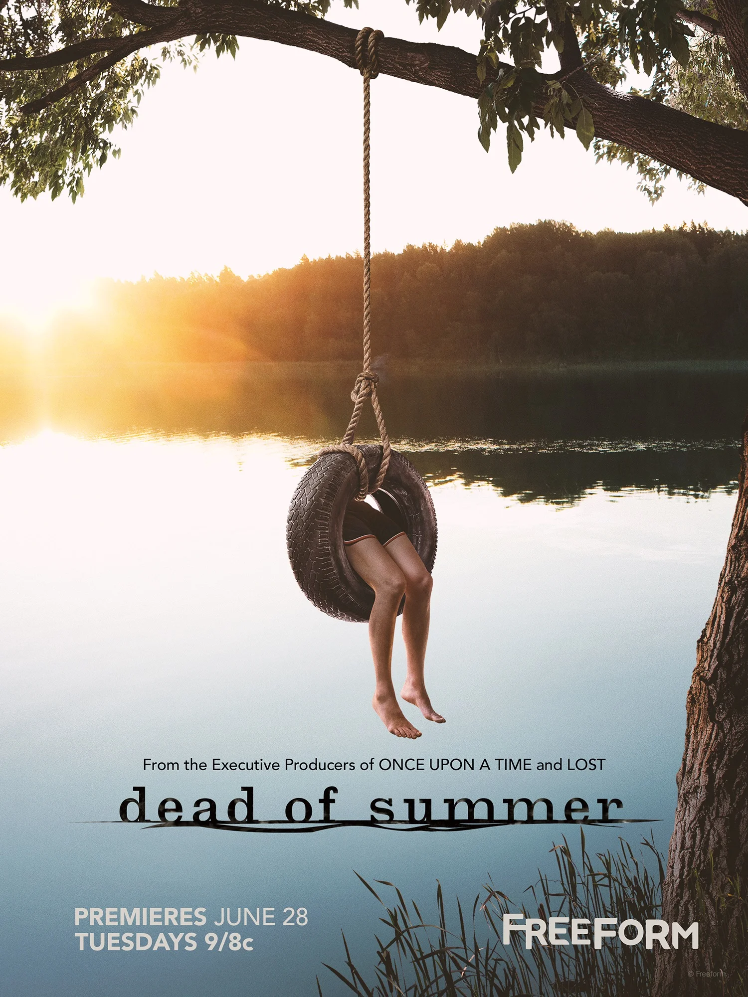 FF_DOS_S1_KeyArt_TireSwing_HR_sm.jpg