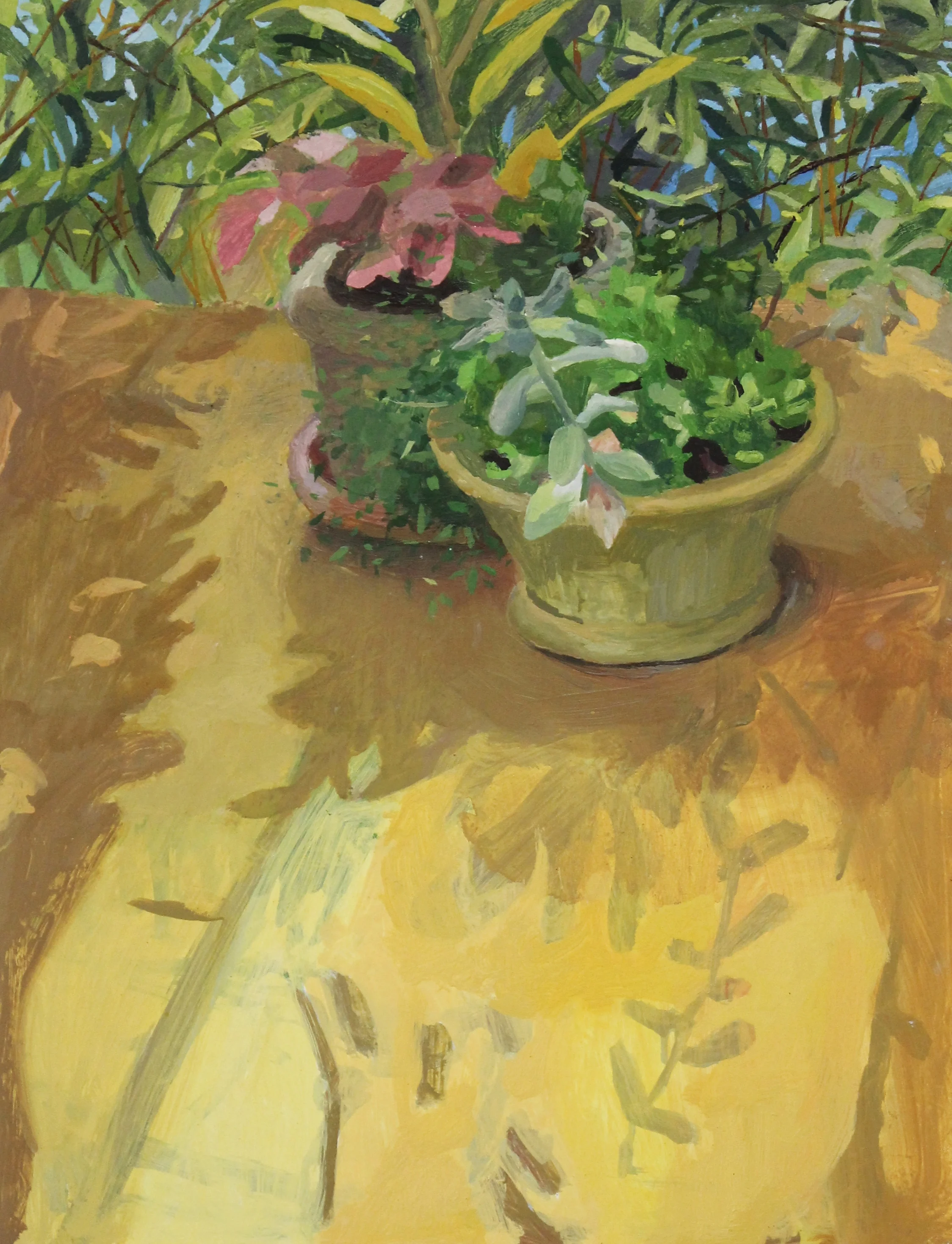 Leaf light still life
