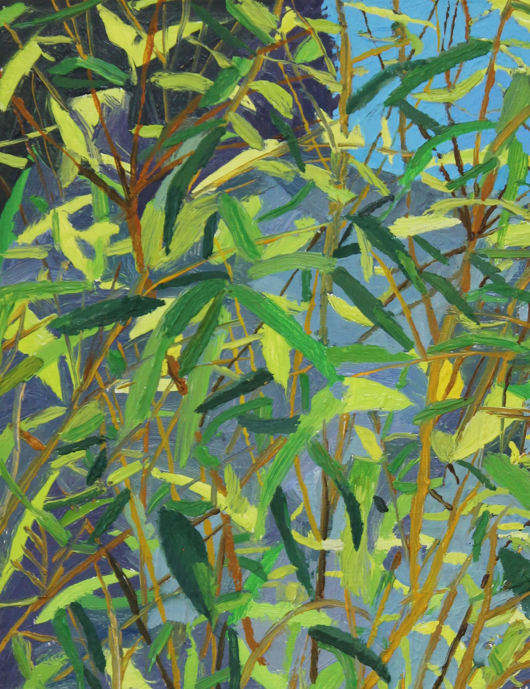 Leaf screen
