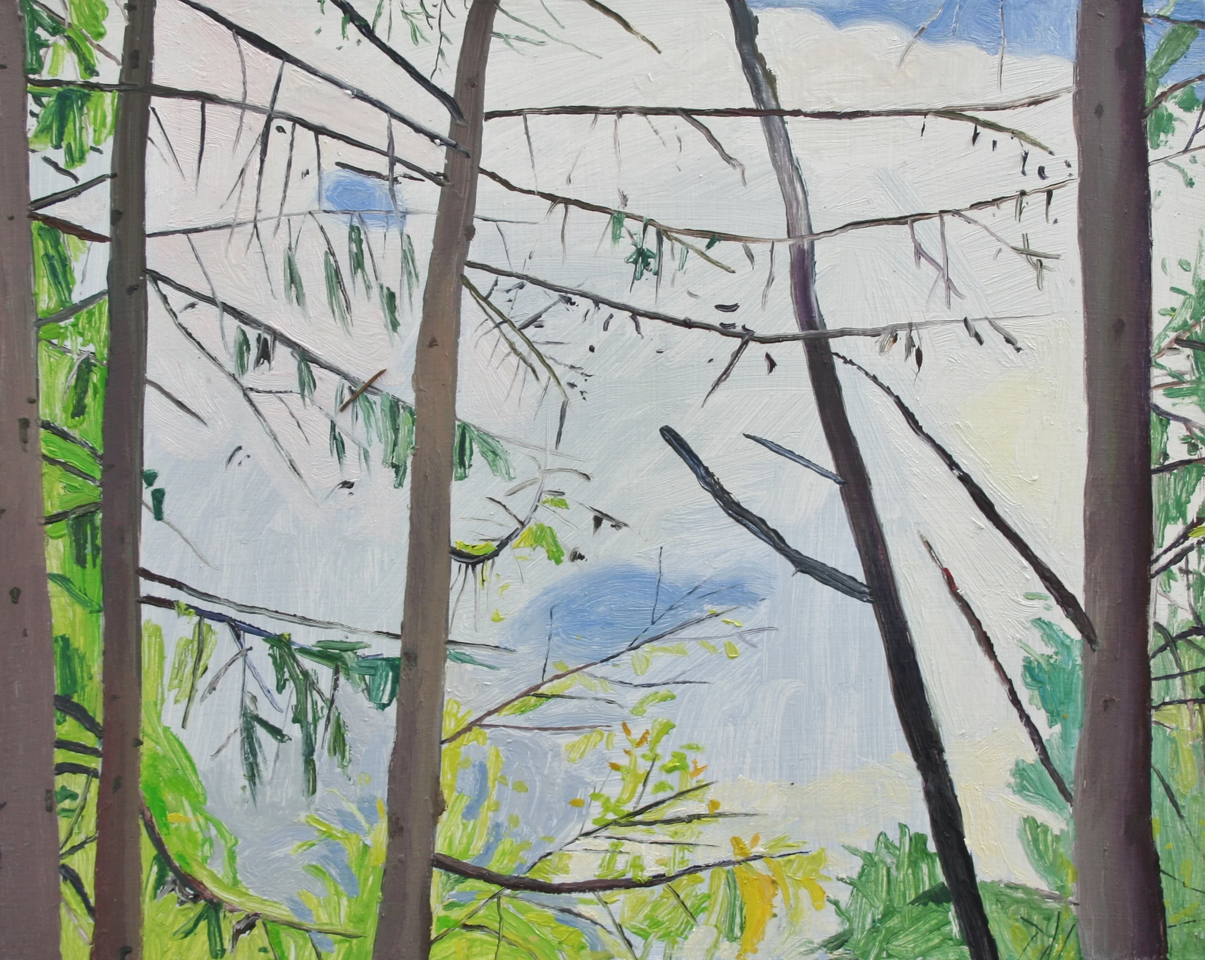 Sky through trees, Oil on panel, 9.5 x 12 in, 2016