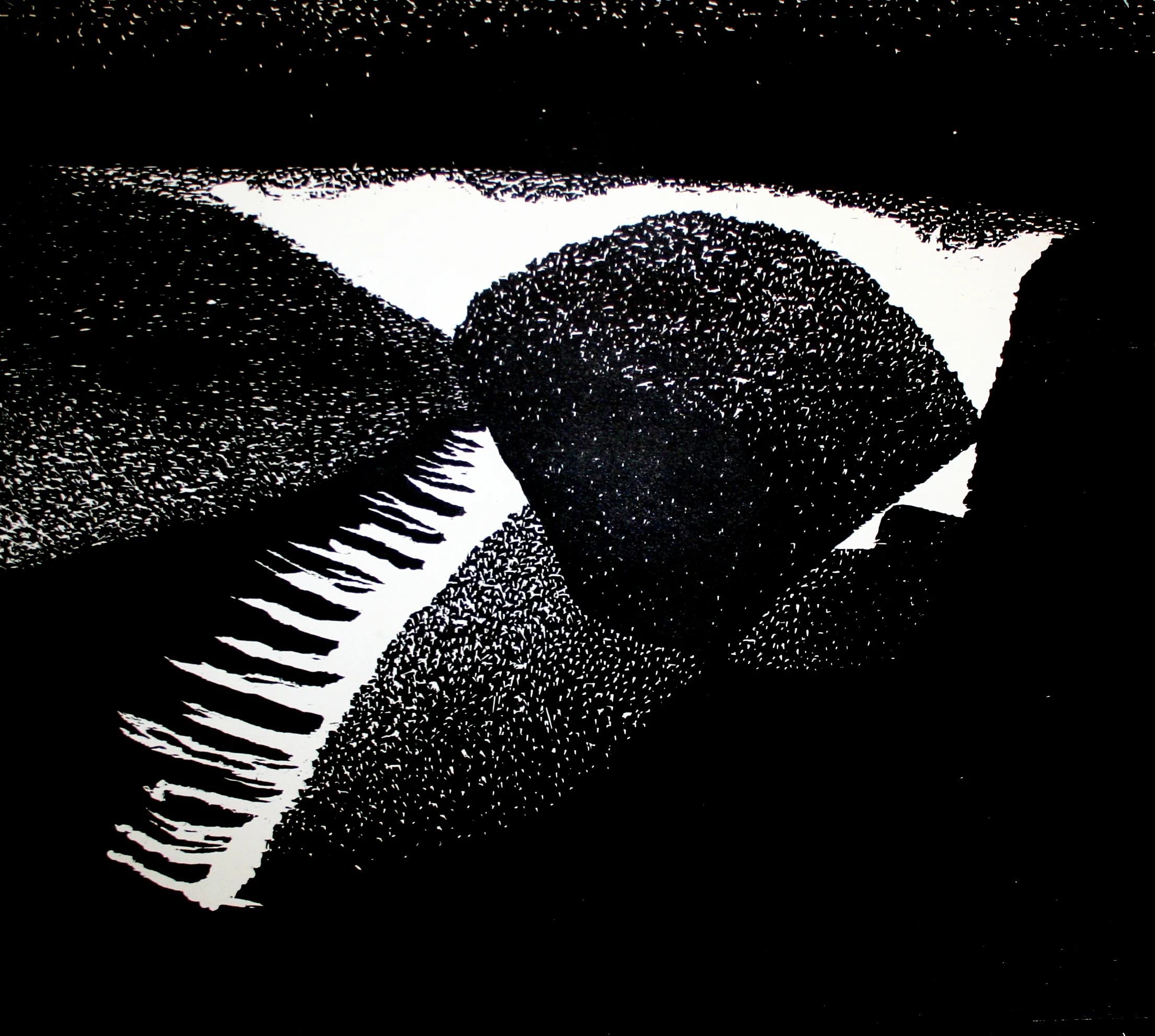 Glisten, Woodcut, 24 x 26 ", 2014