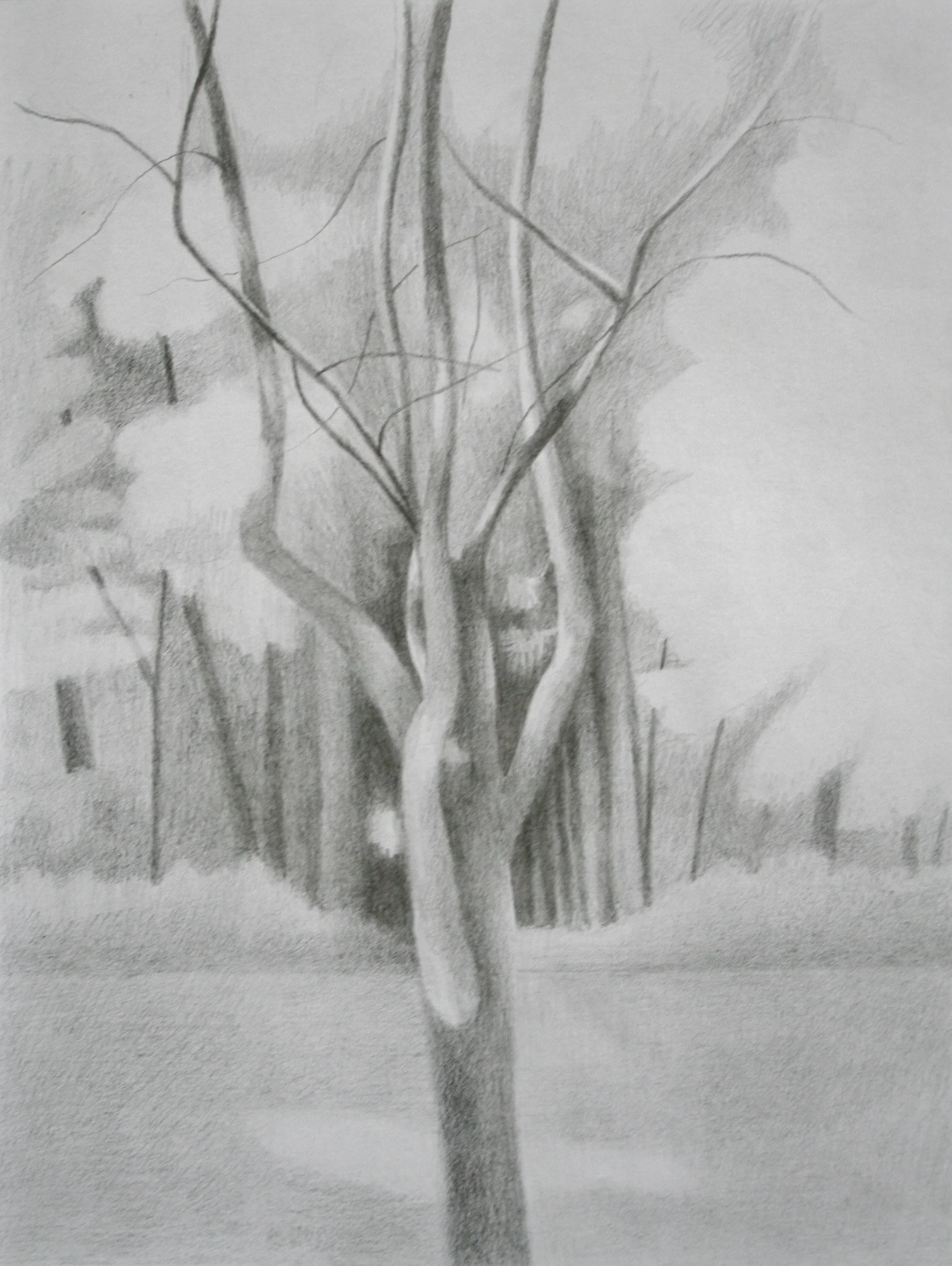 11 x 8.5 inch drawing, 2017 