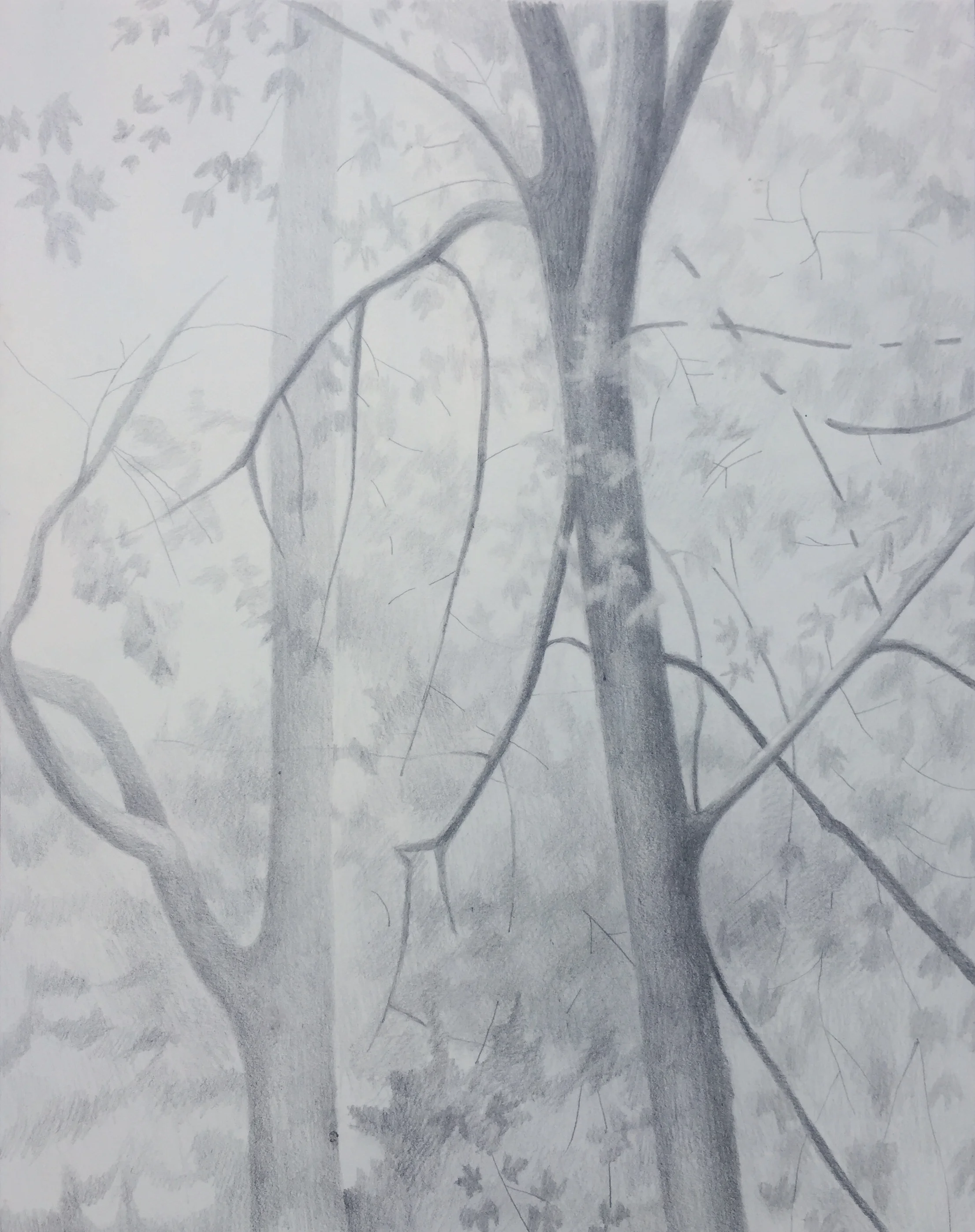 15 x 12 inch drawing, 2017 