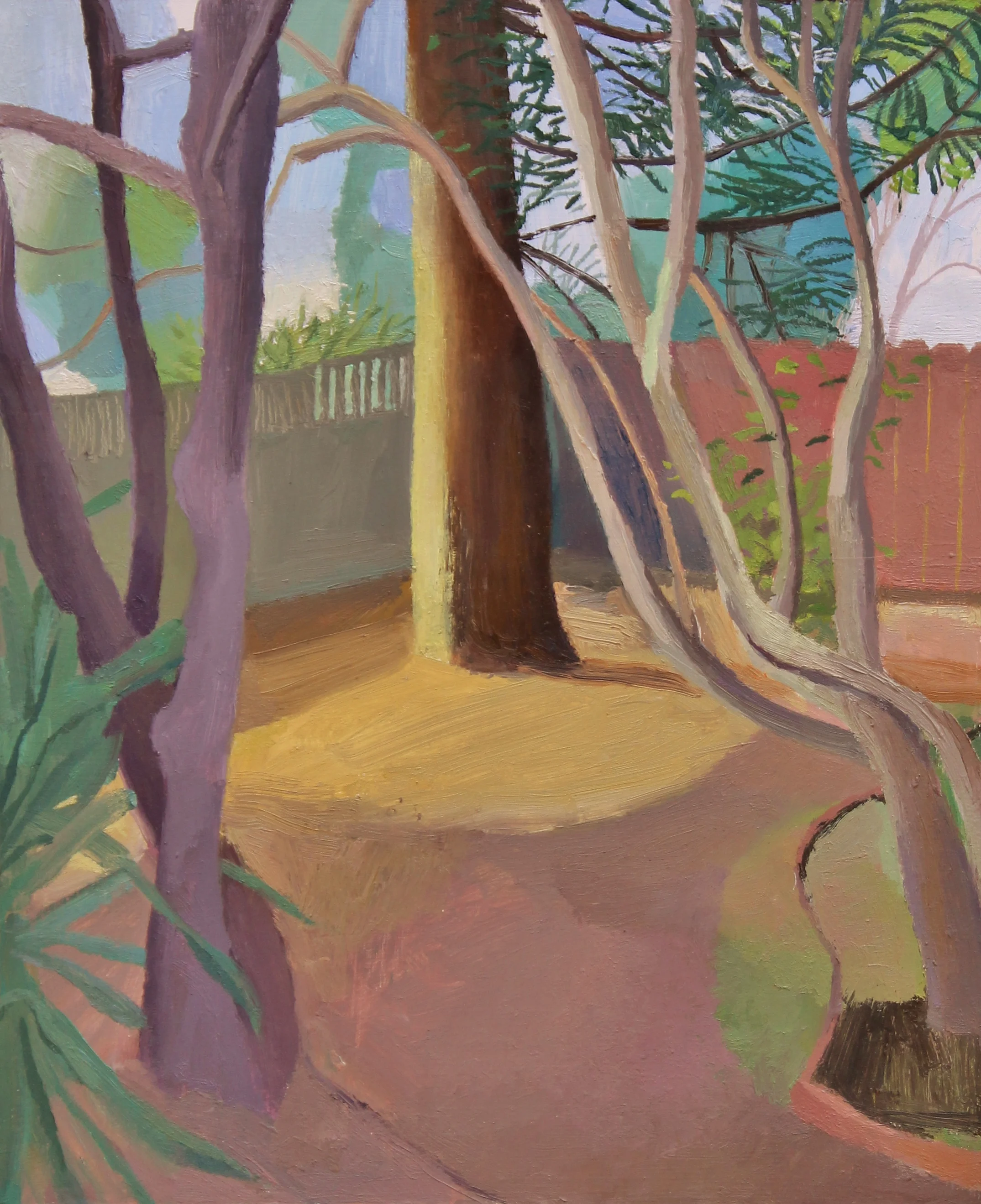 Trees in Spotlight