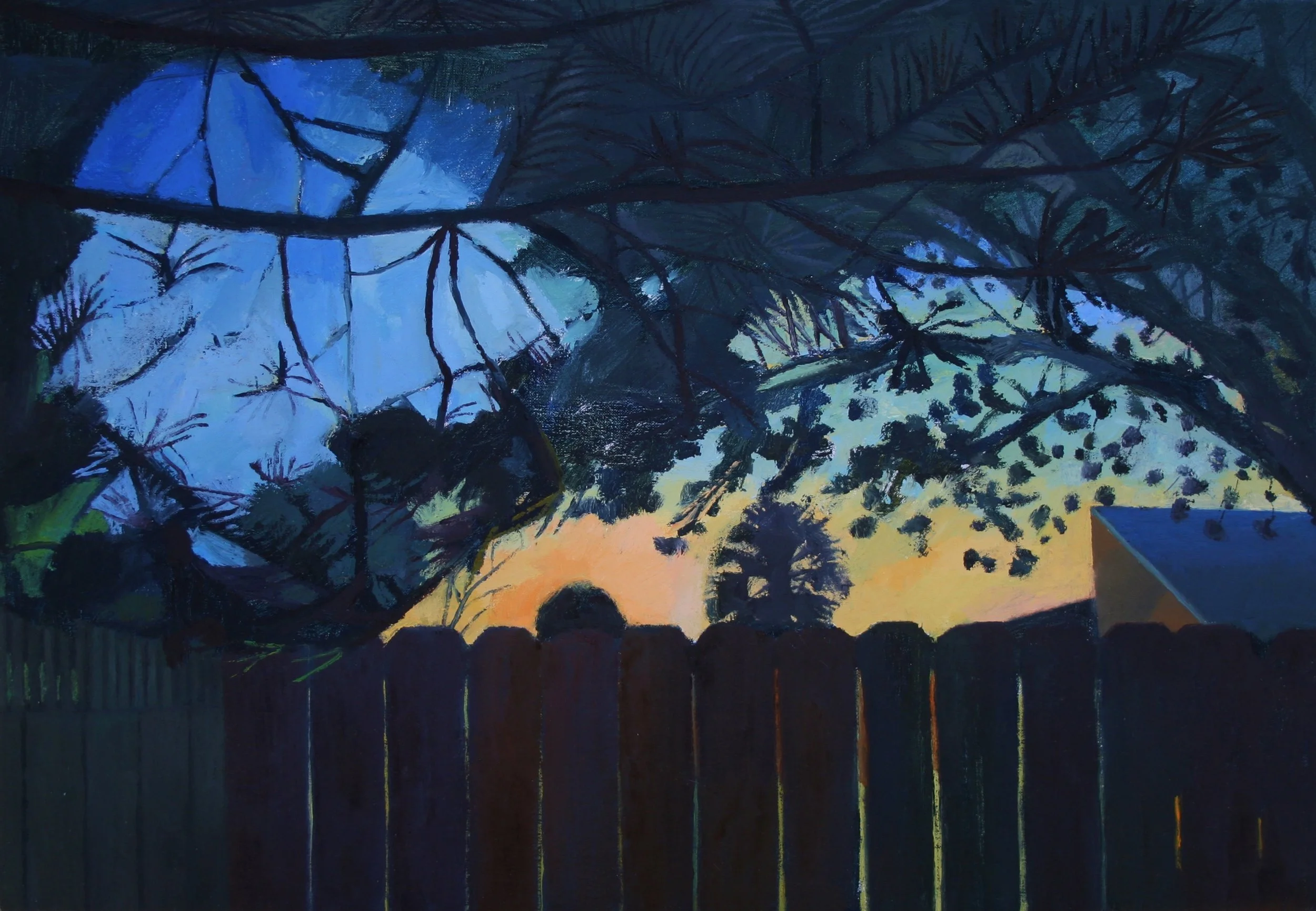 Dusk Light through Trees