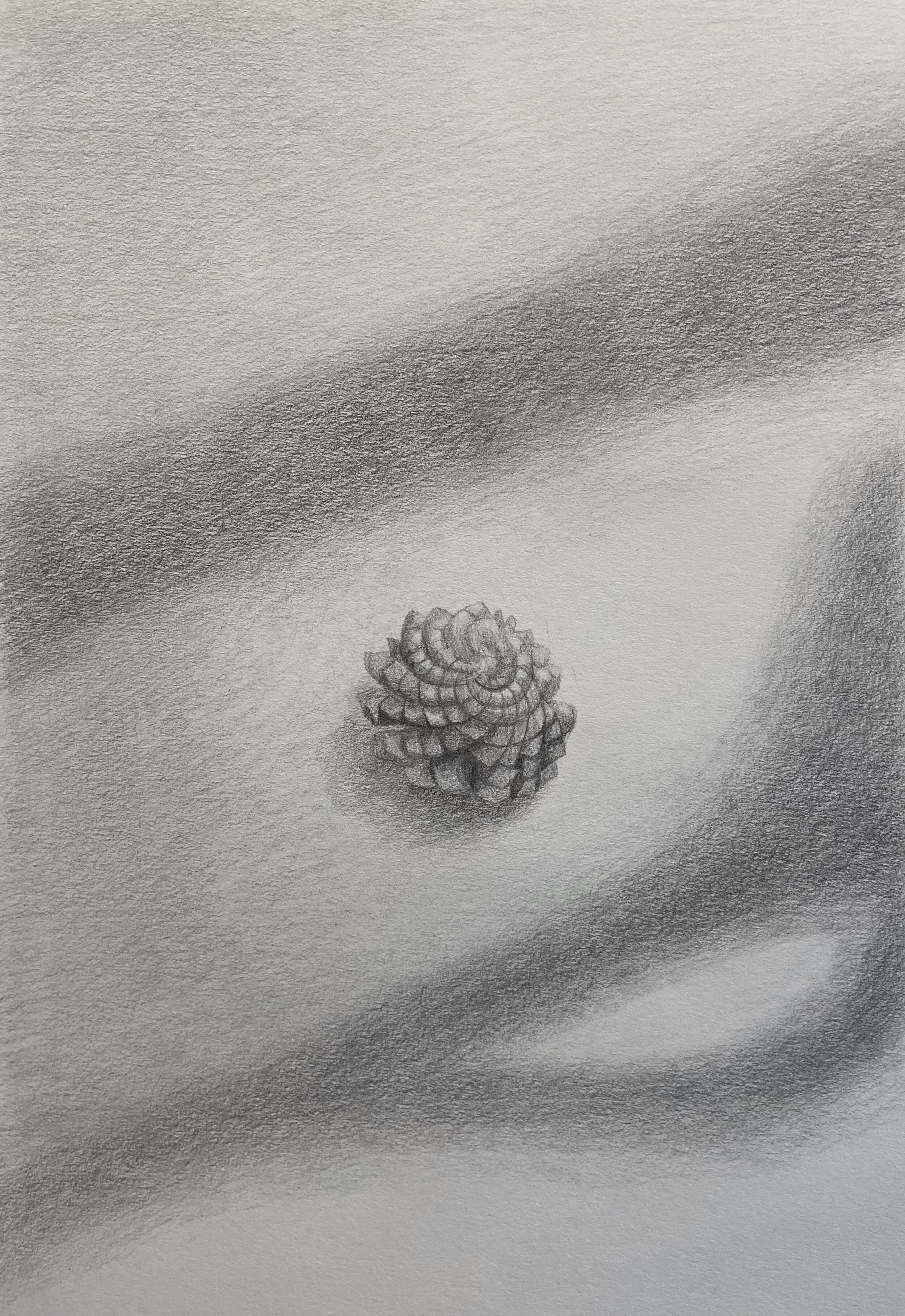  14 x 10 inches, Graphite on Paper, 2020 