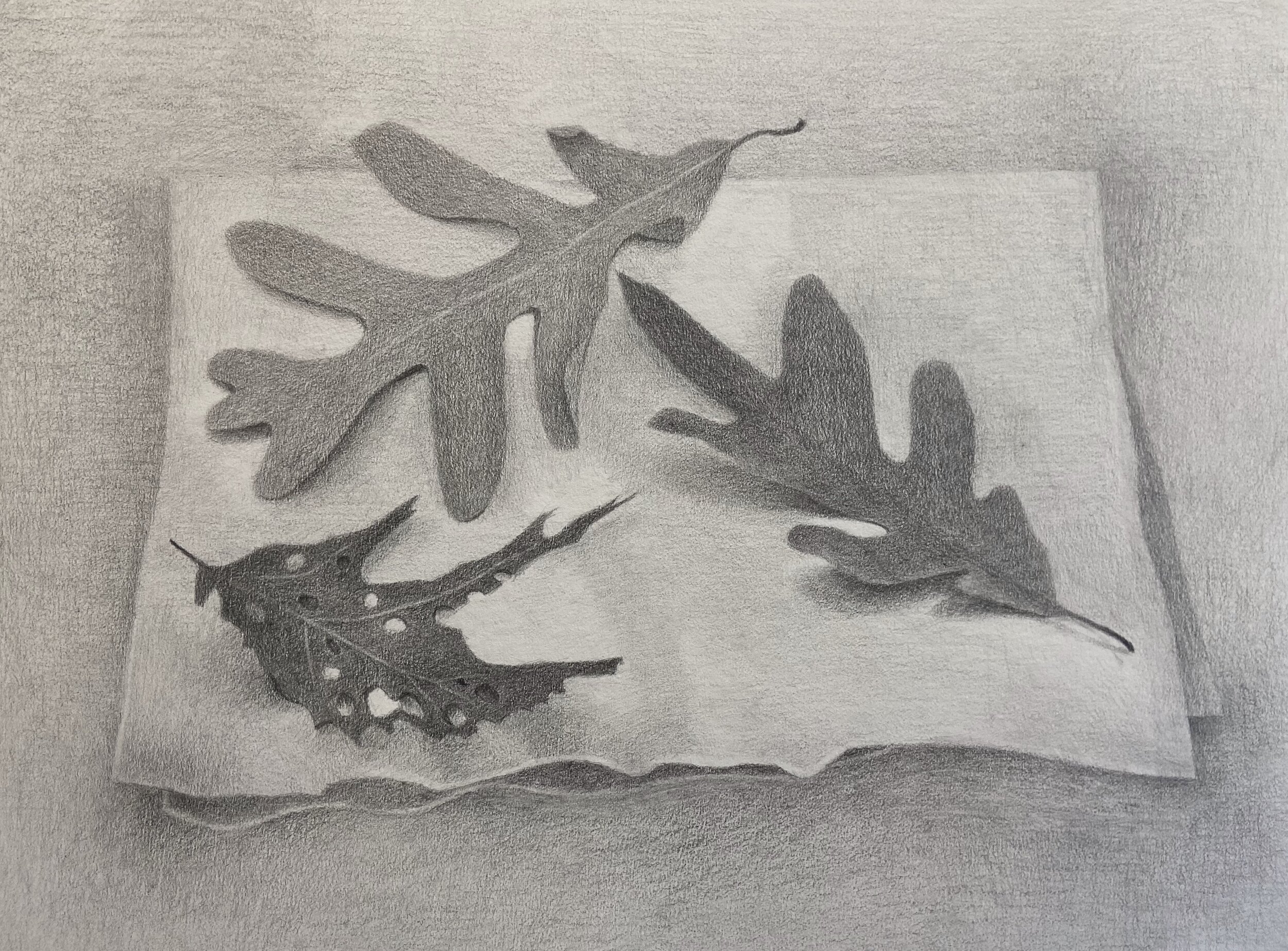  9.5 x 12.5 inches, Graphite on Paper, 2020 