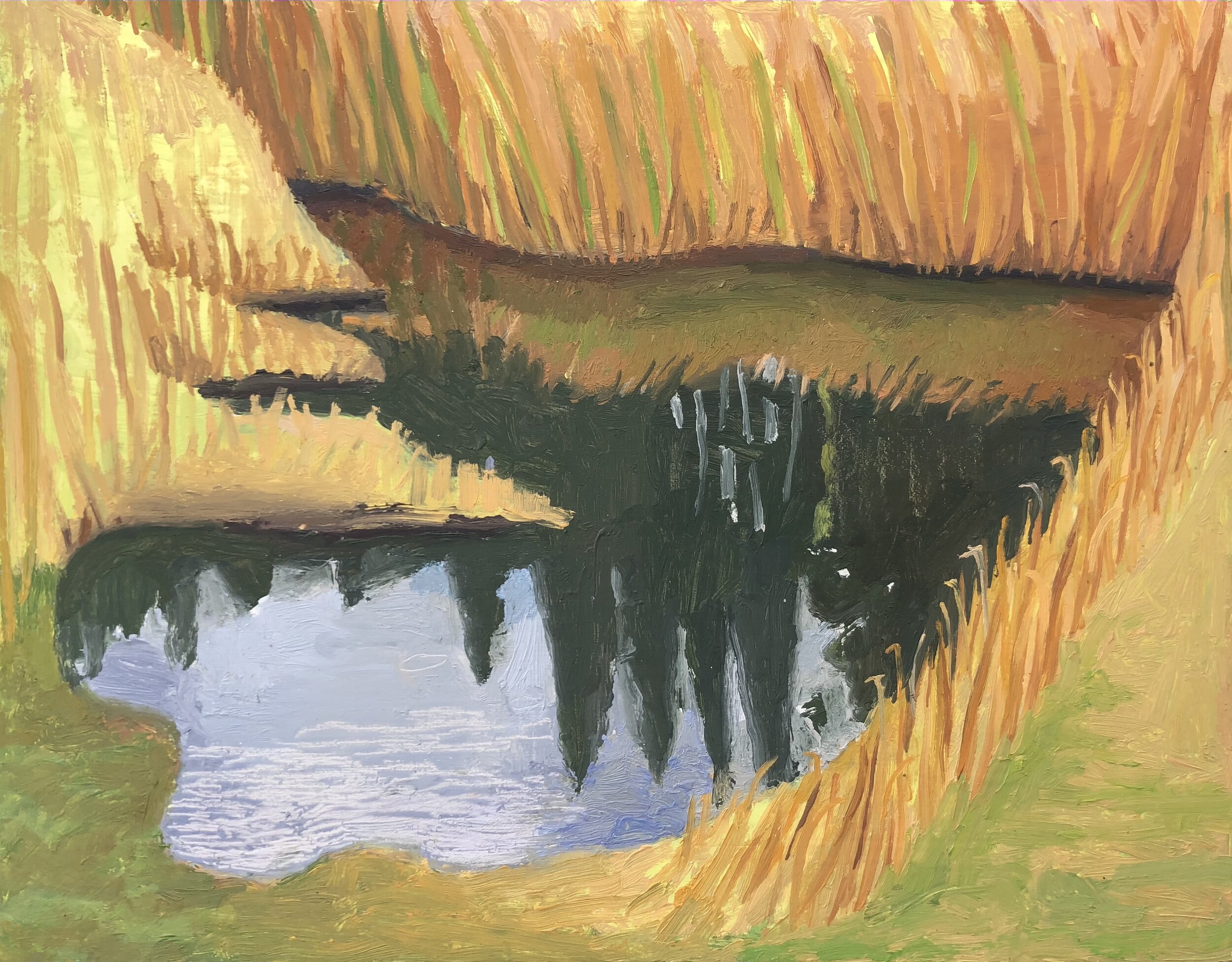  Reflection Pond, 14 x 11 inches, 2019 