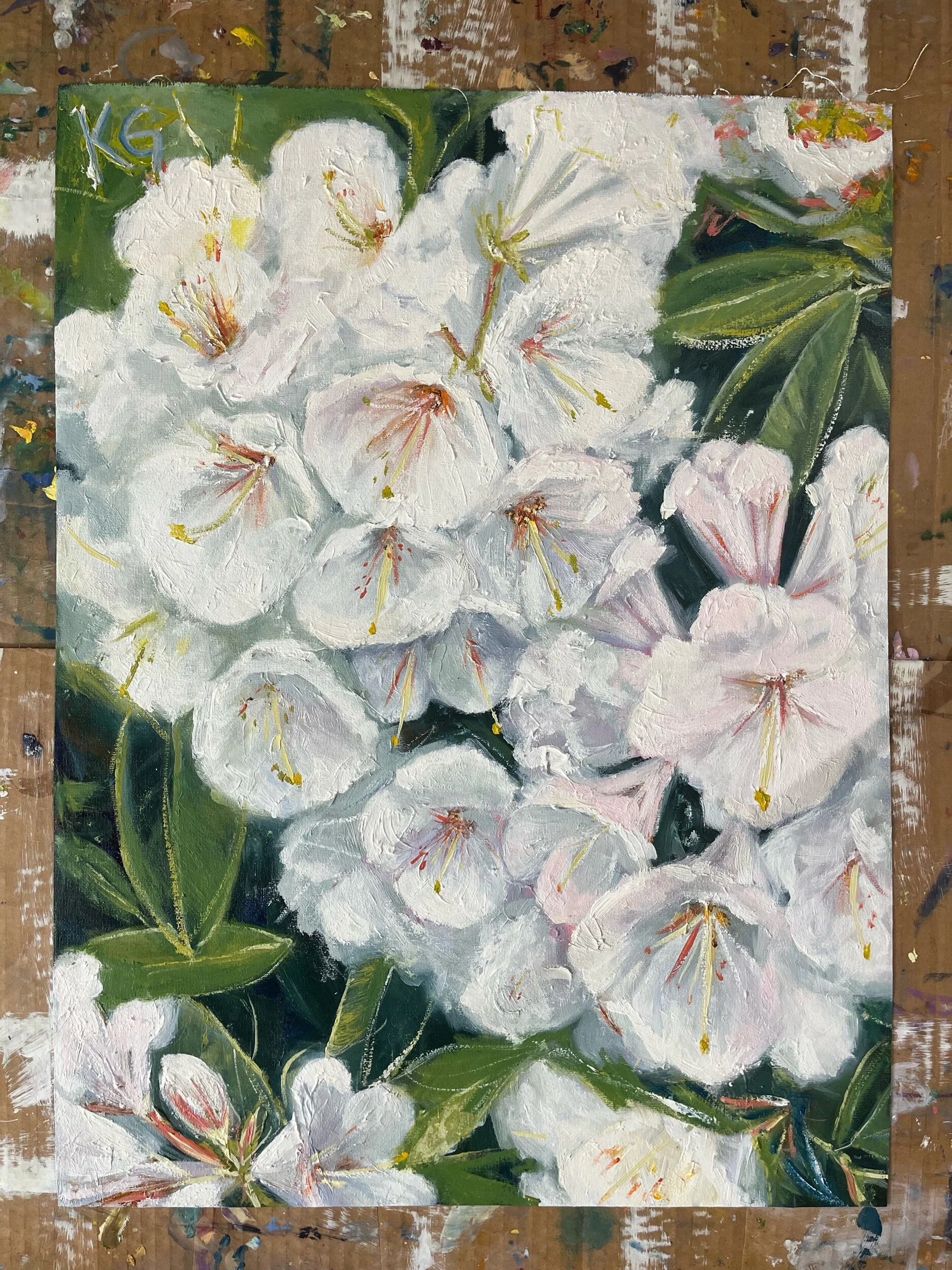 9562ECCC-D94C-49EC-AC38-4CD6D8E47F76