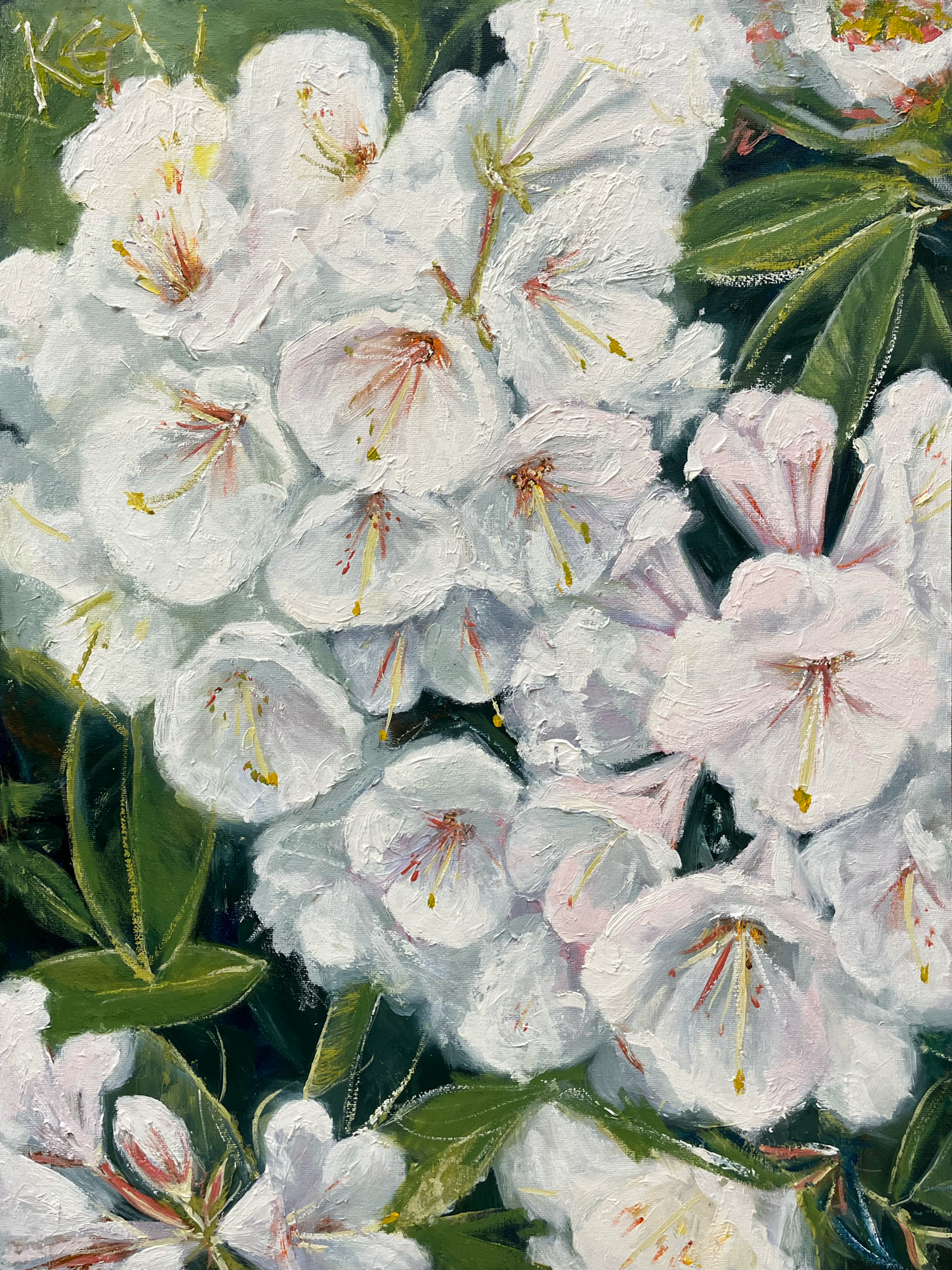 BDEEF96D-79E5-4D65-AFF6-B9B9B179E109