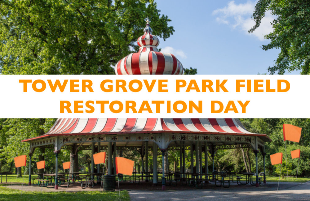 Tower Grove Field Restoration Day