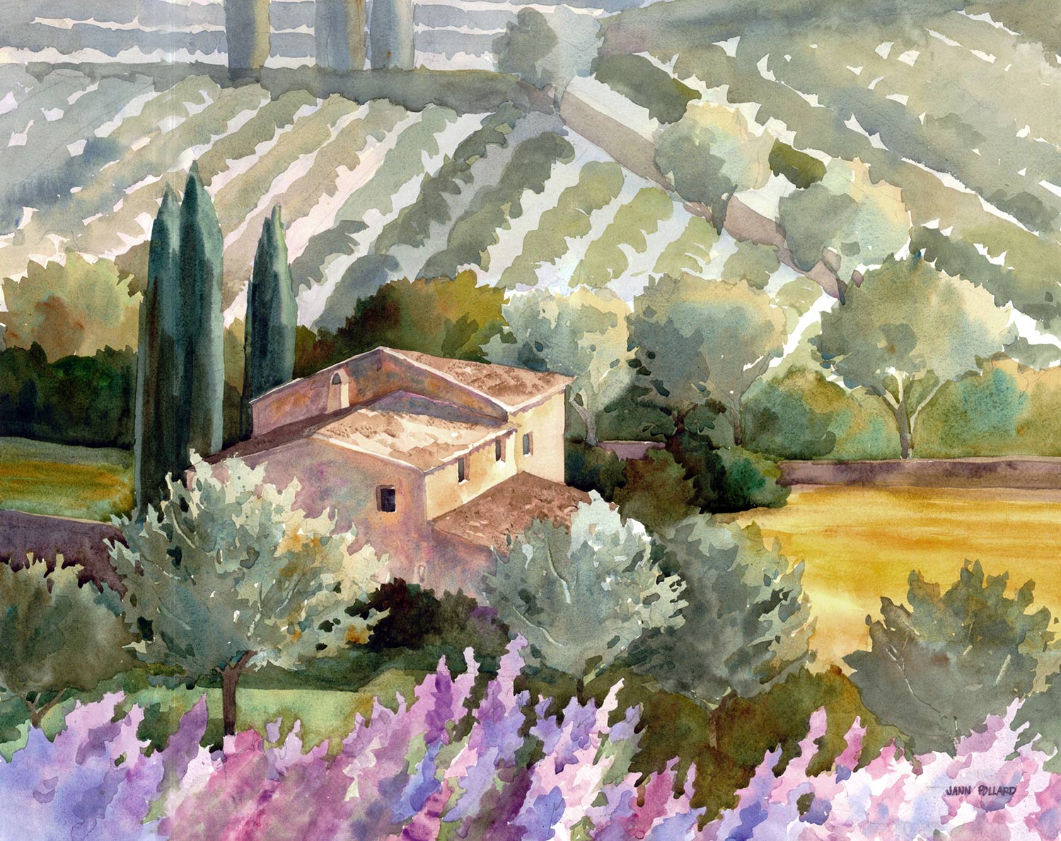 A Vineyard in Tuscan