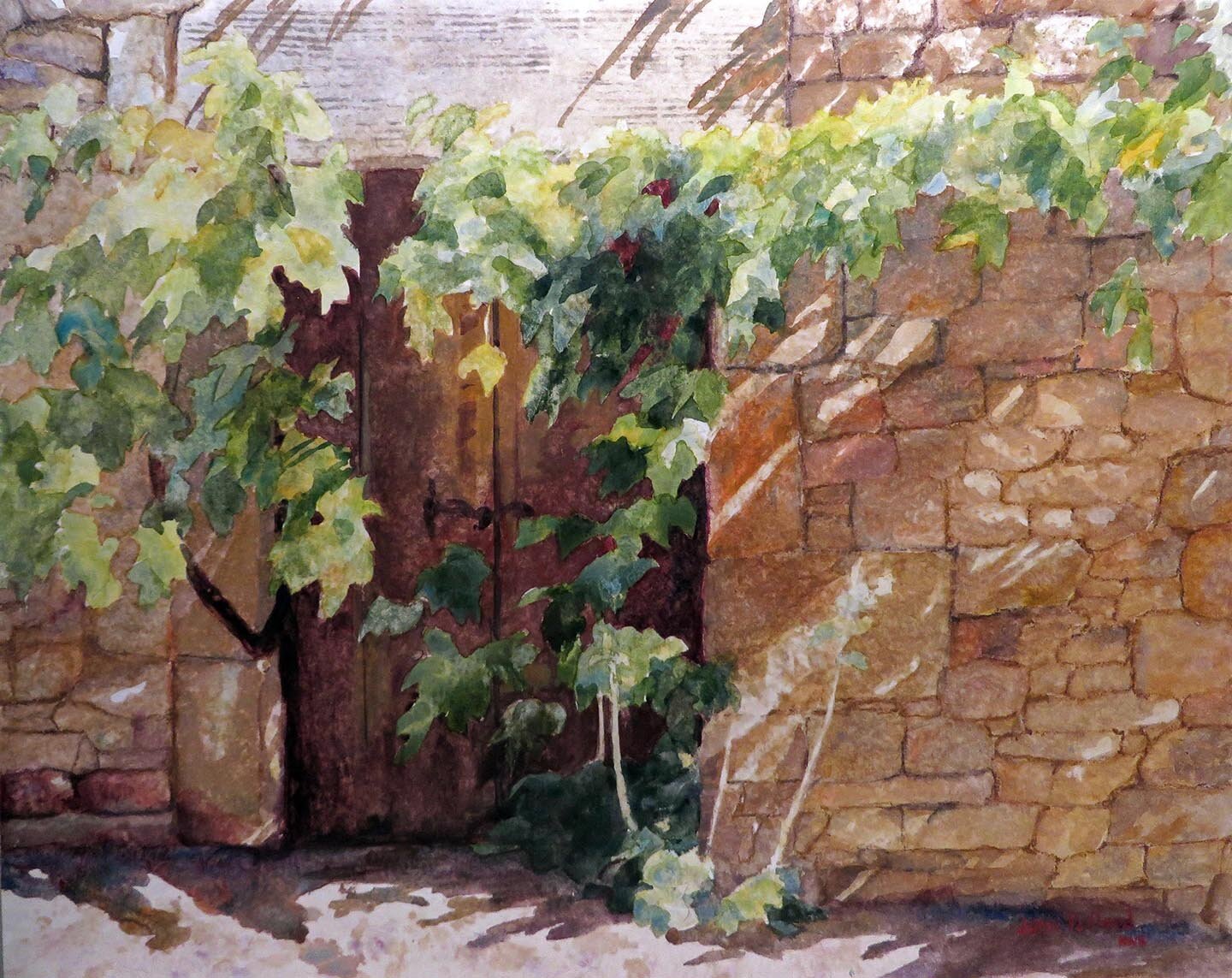Provence Vine Shadows