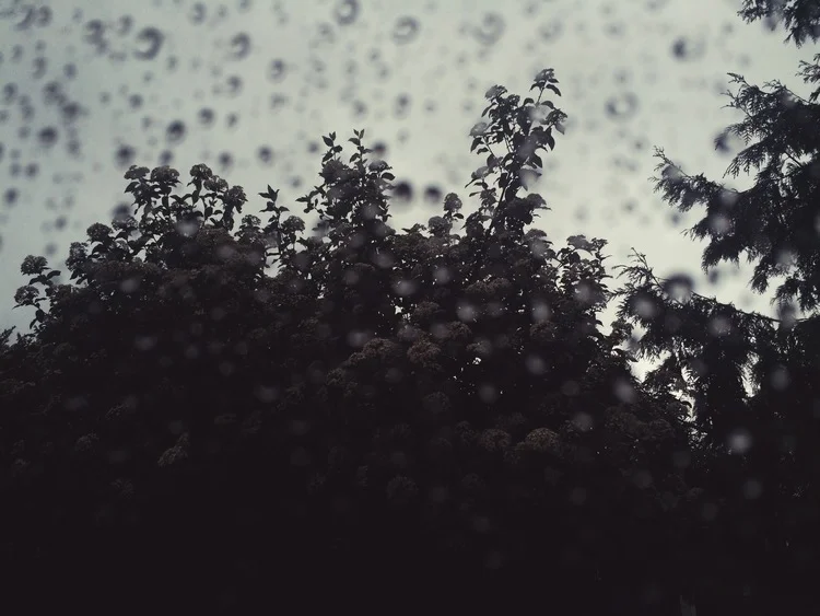  The rain falls now as it's always done elsewhere, 