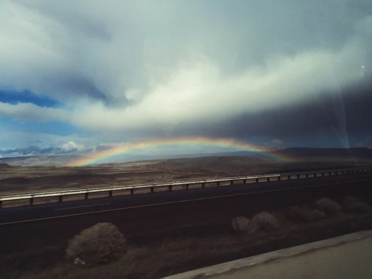 "Tragedy, indeed, that innocence, though it never was, could have been." -Levi the Poet