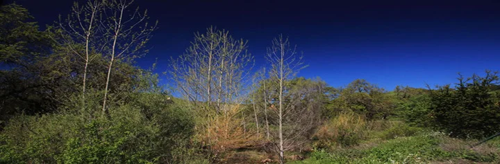 banner_photo_1_upd.jpg