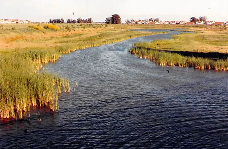 LAGUNA CREEK