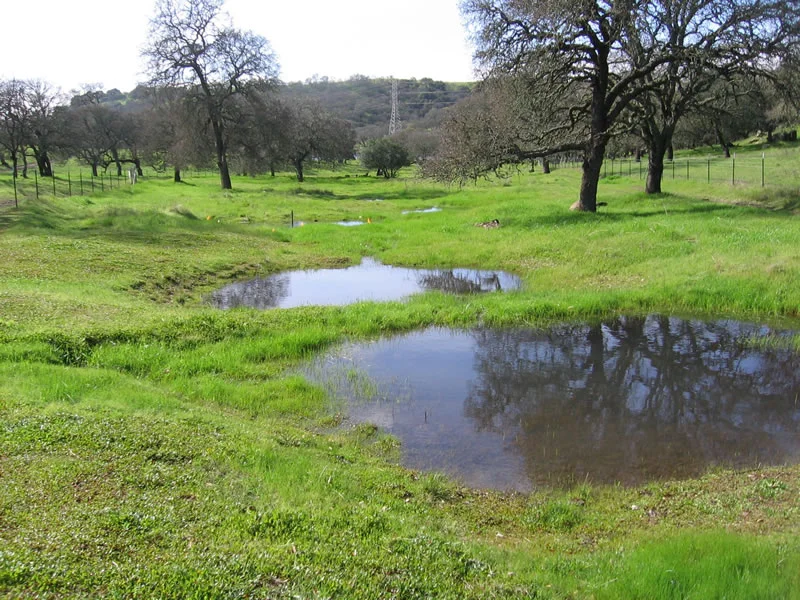Mangels Ranch-2_rockville_5.jpg