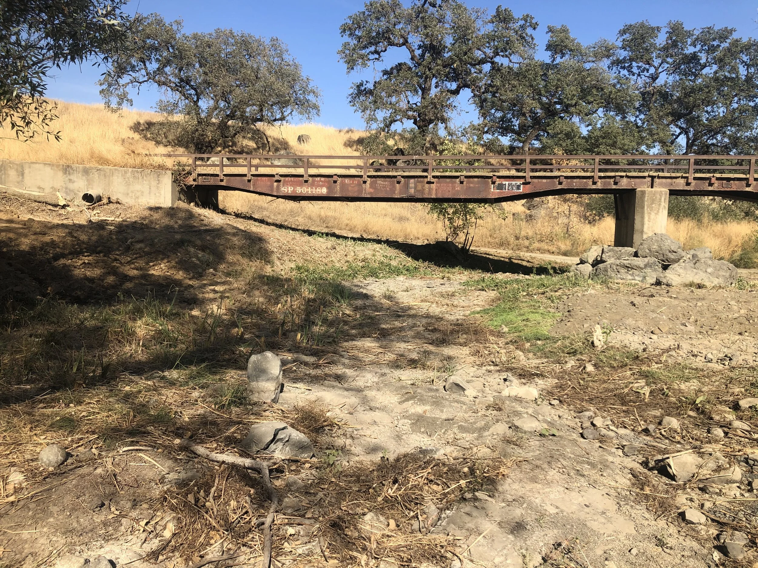 St. Supery Vineyard: Surveys and Monitoring for Yellow-Legged Frog Avoidance