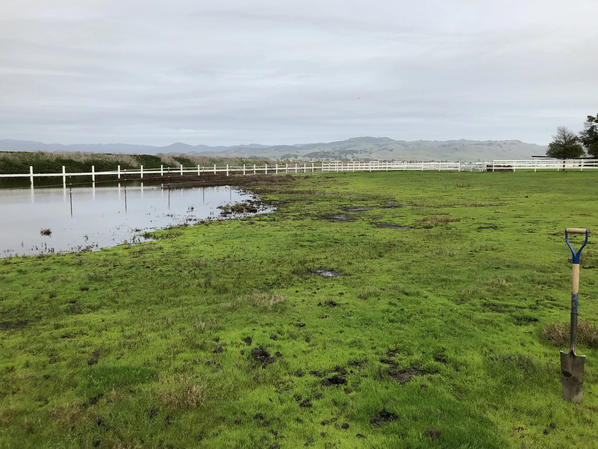 Due Diligence Biological Work Aids in Planning for Solar Project