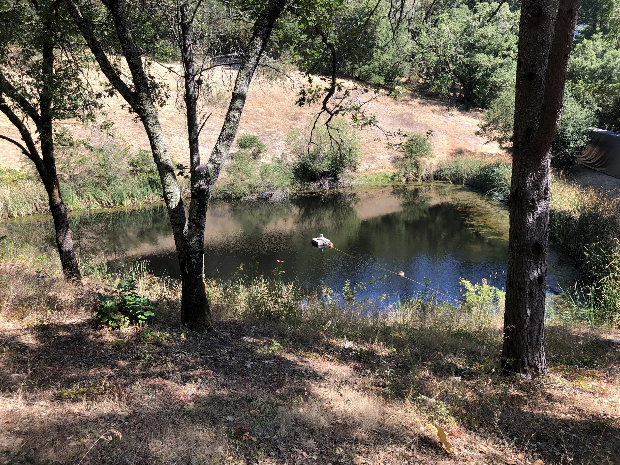 Biotic Assessments to plan for and Assess Biological Constraints 