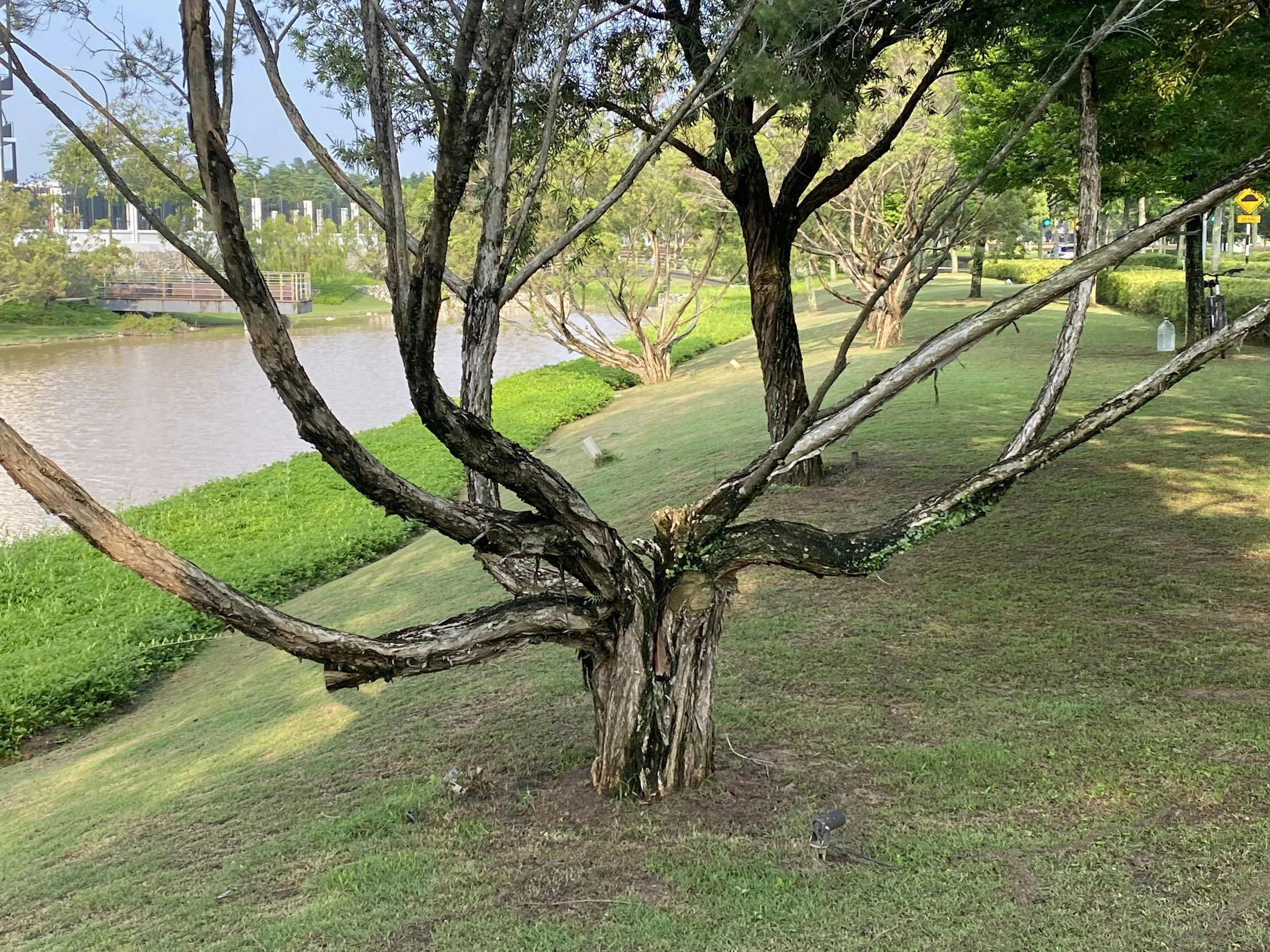 Fall Safety with Clare Ellison, OT