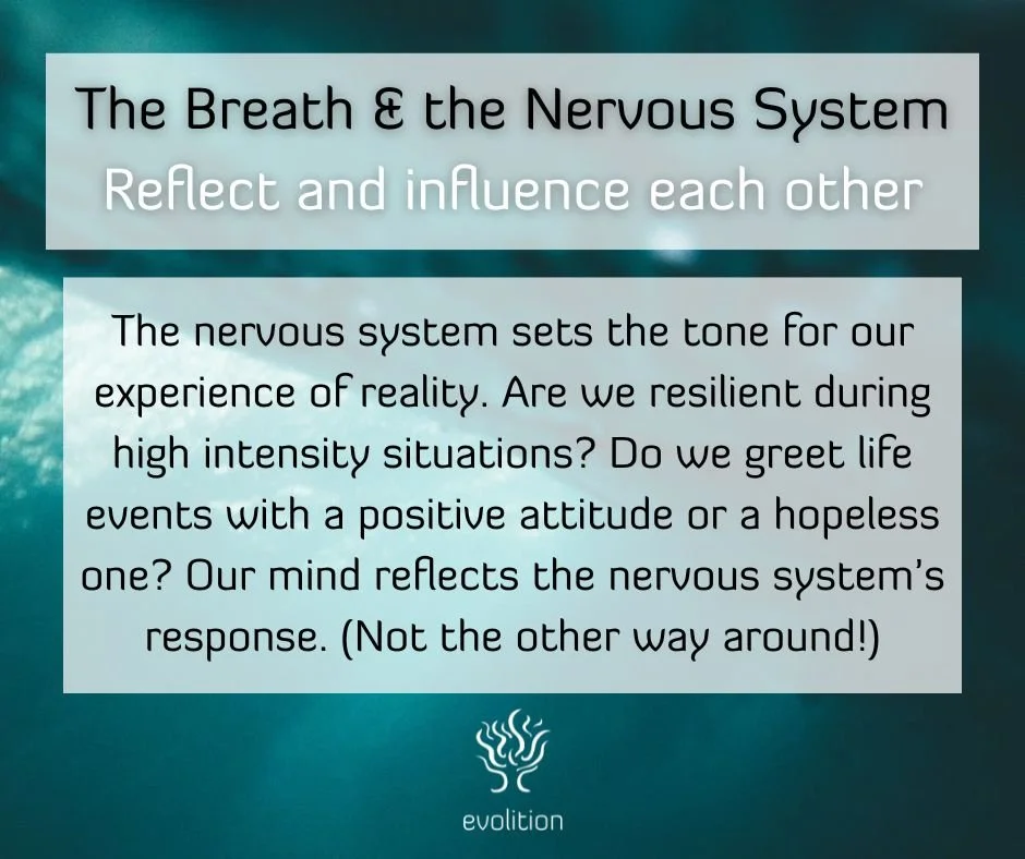 Breath and Nervous System 1.jpg