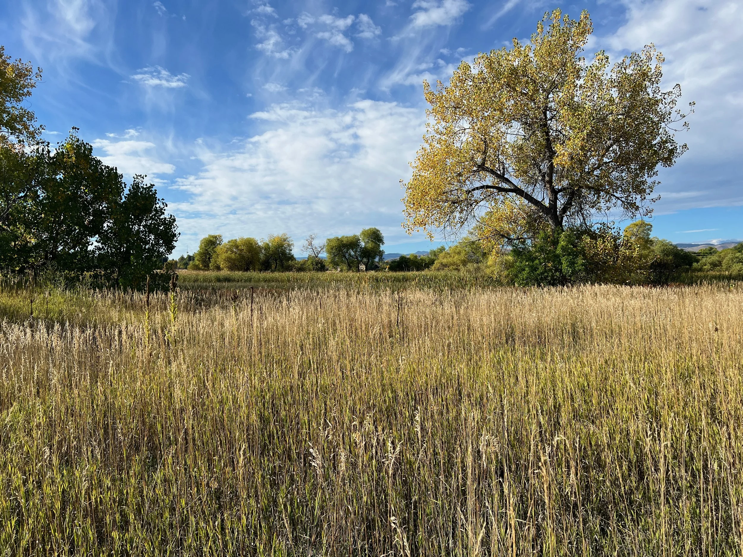 Crown Hill Open Space Park in Wheat Ridge, Colorado