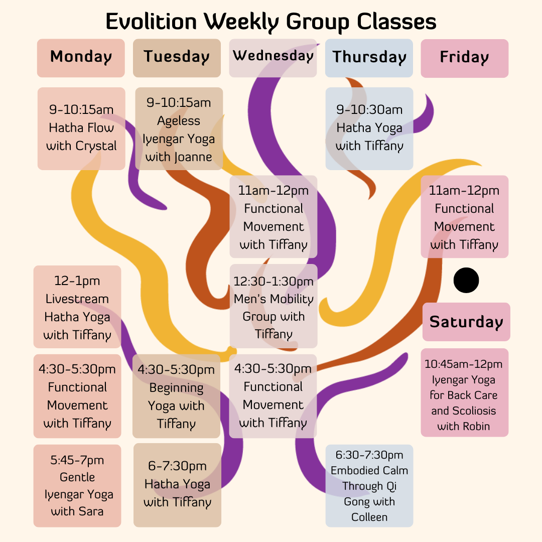 Evolition's weekly group class schedule calendar