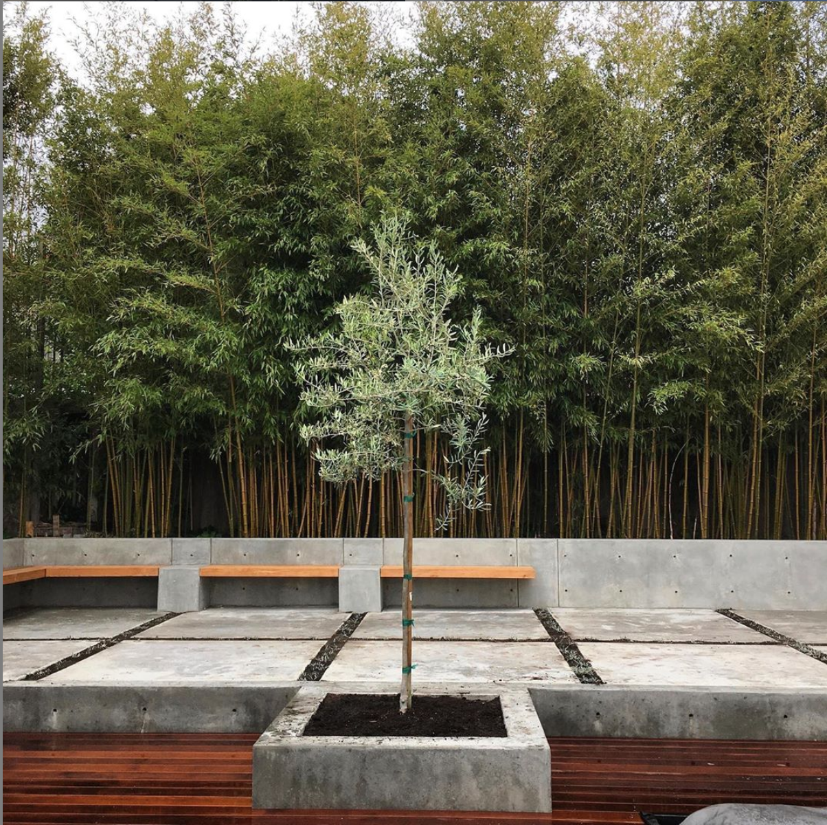 Screen Shot 2020-08-25 at 10.20.38 AM.png